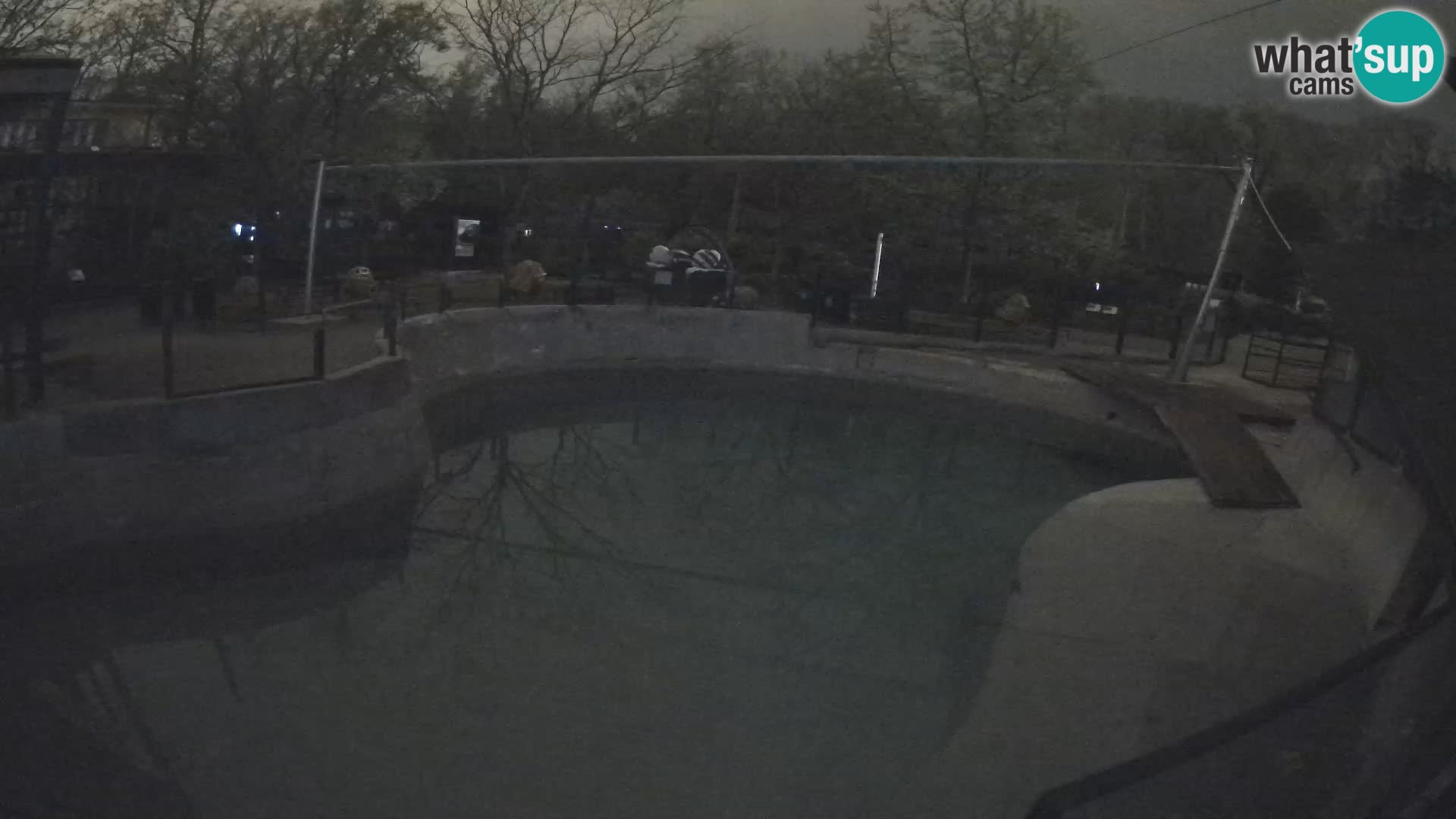 Zoo Zagreb – Kalifornischer Seelöwe