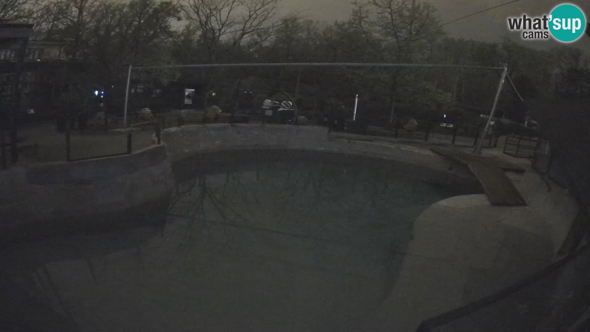 Zoo Zagreb – Kalifornischer Seelöwe