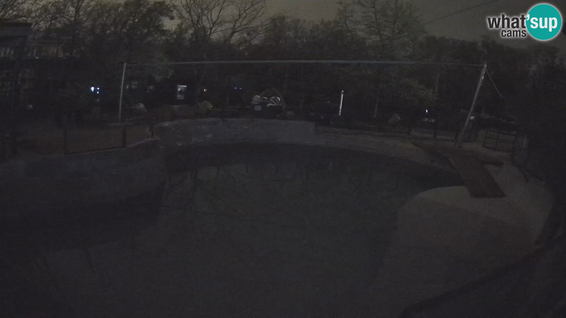 Zoo Zagreb – Kalifornijski morski lev