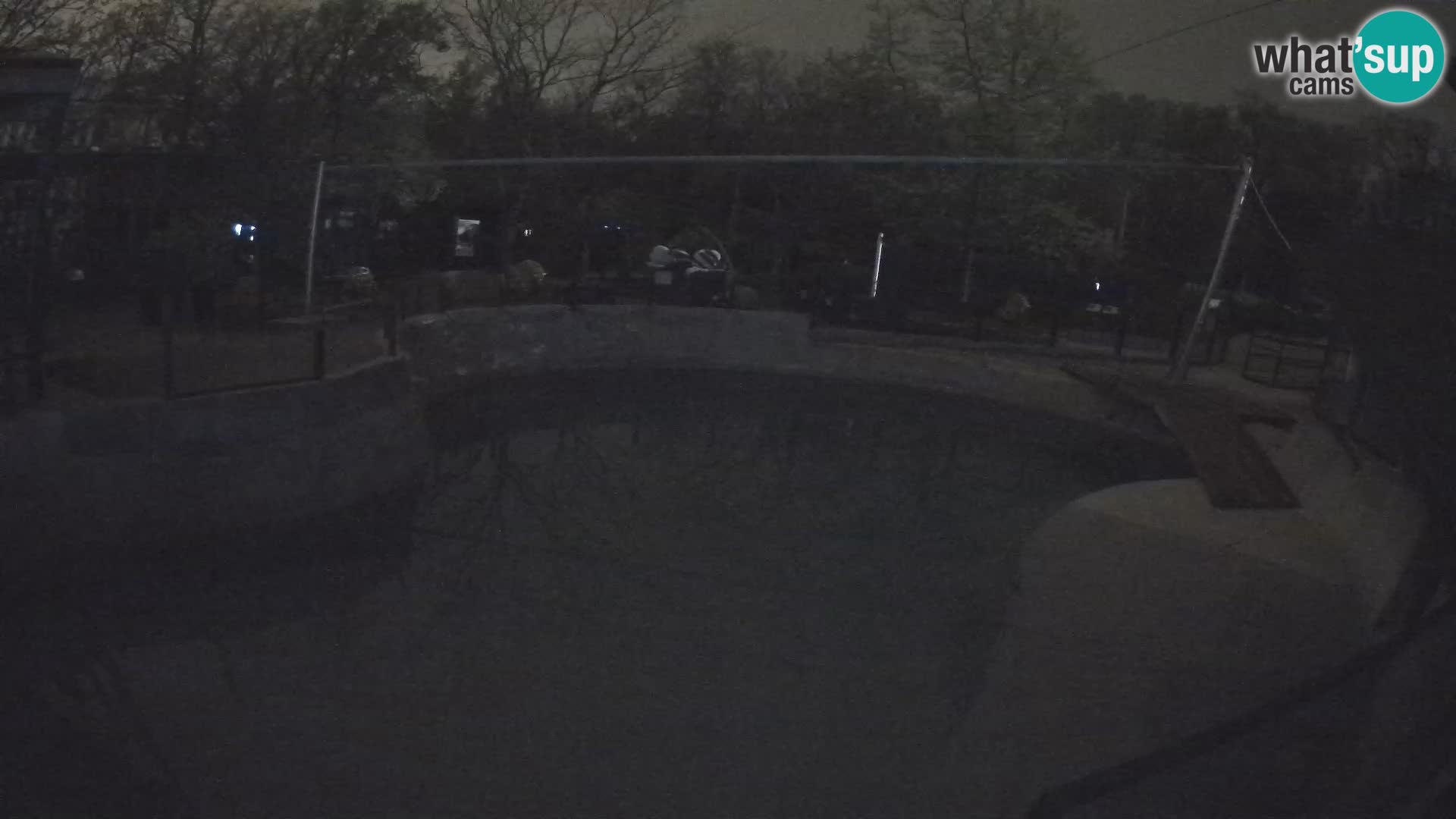 Zoo Zagreb –  León marino de California