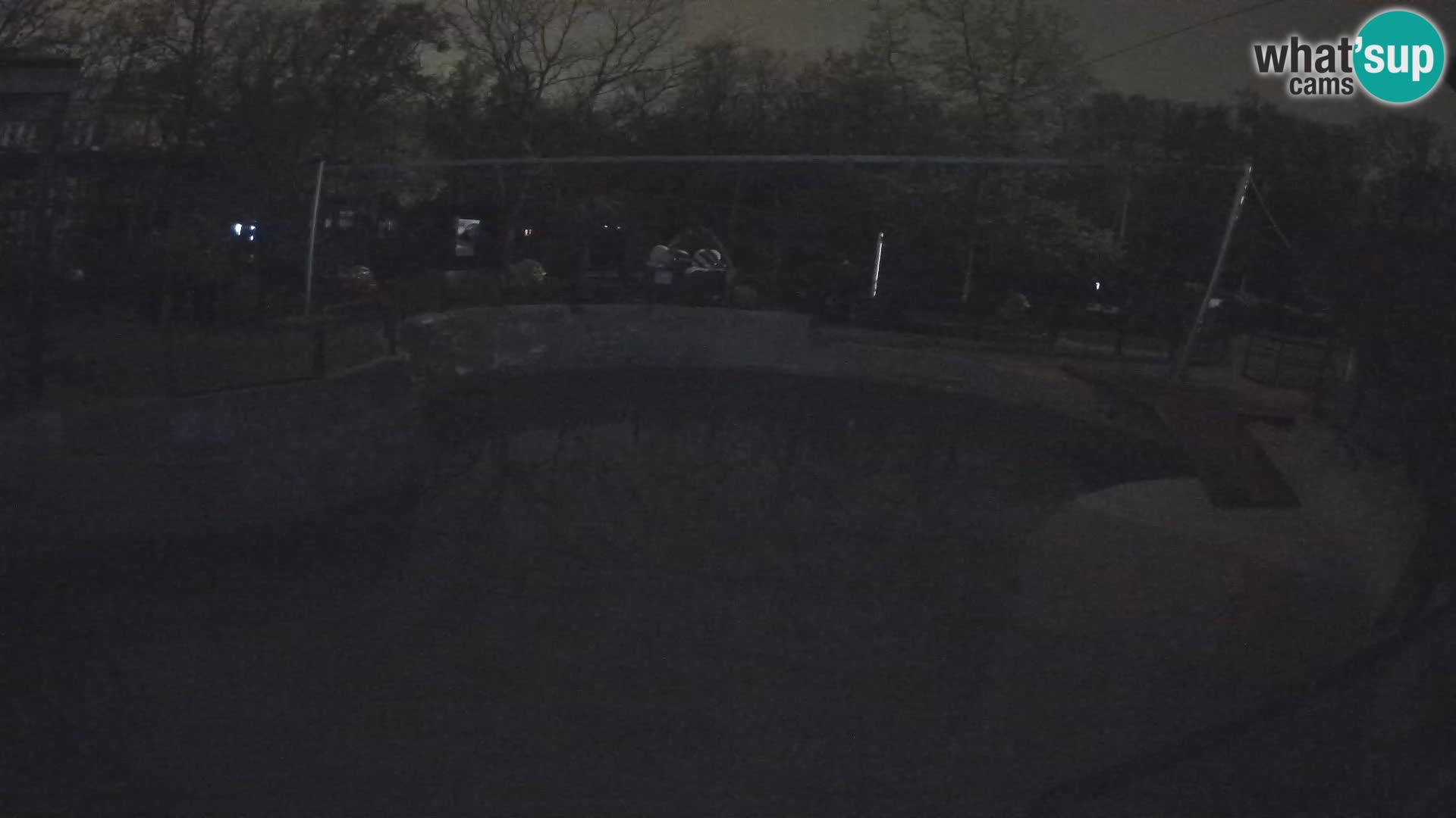 Zoo Zagreb –  León marino de California