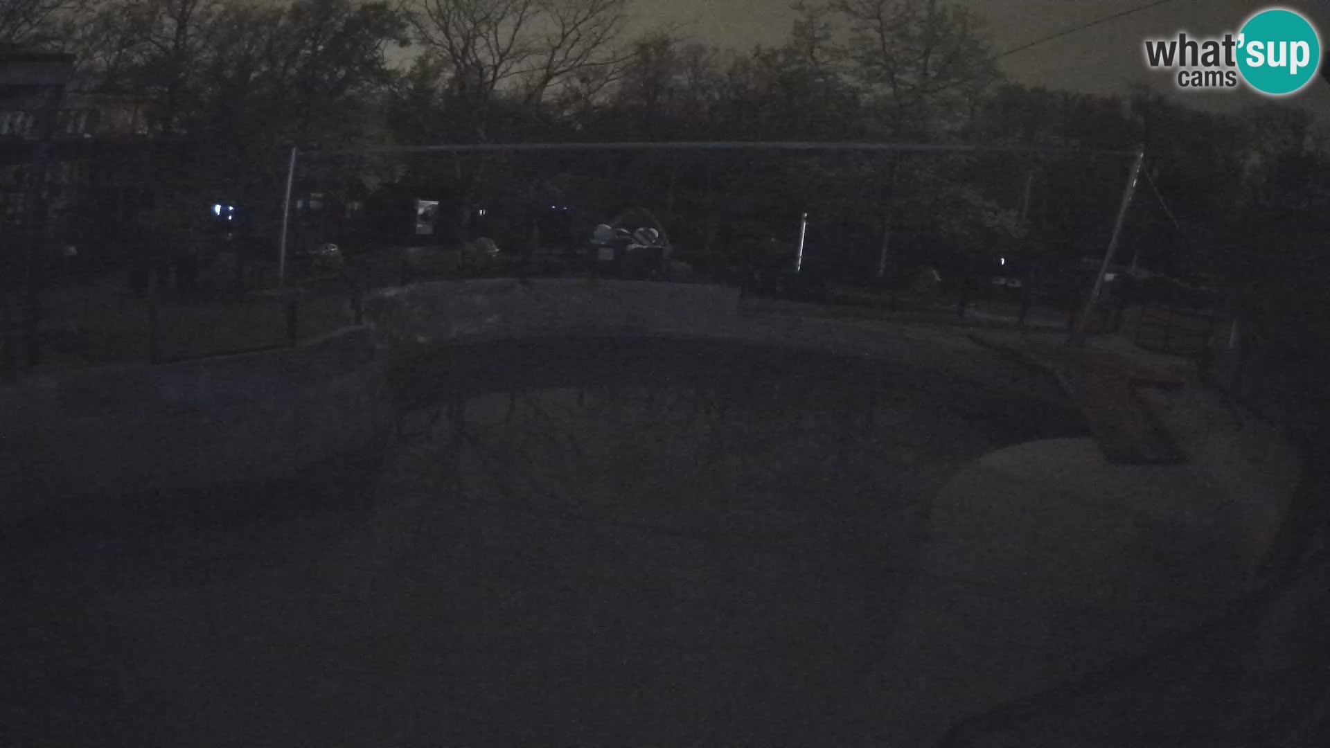 Zoo Zagreb – Kalifornijski morski lav