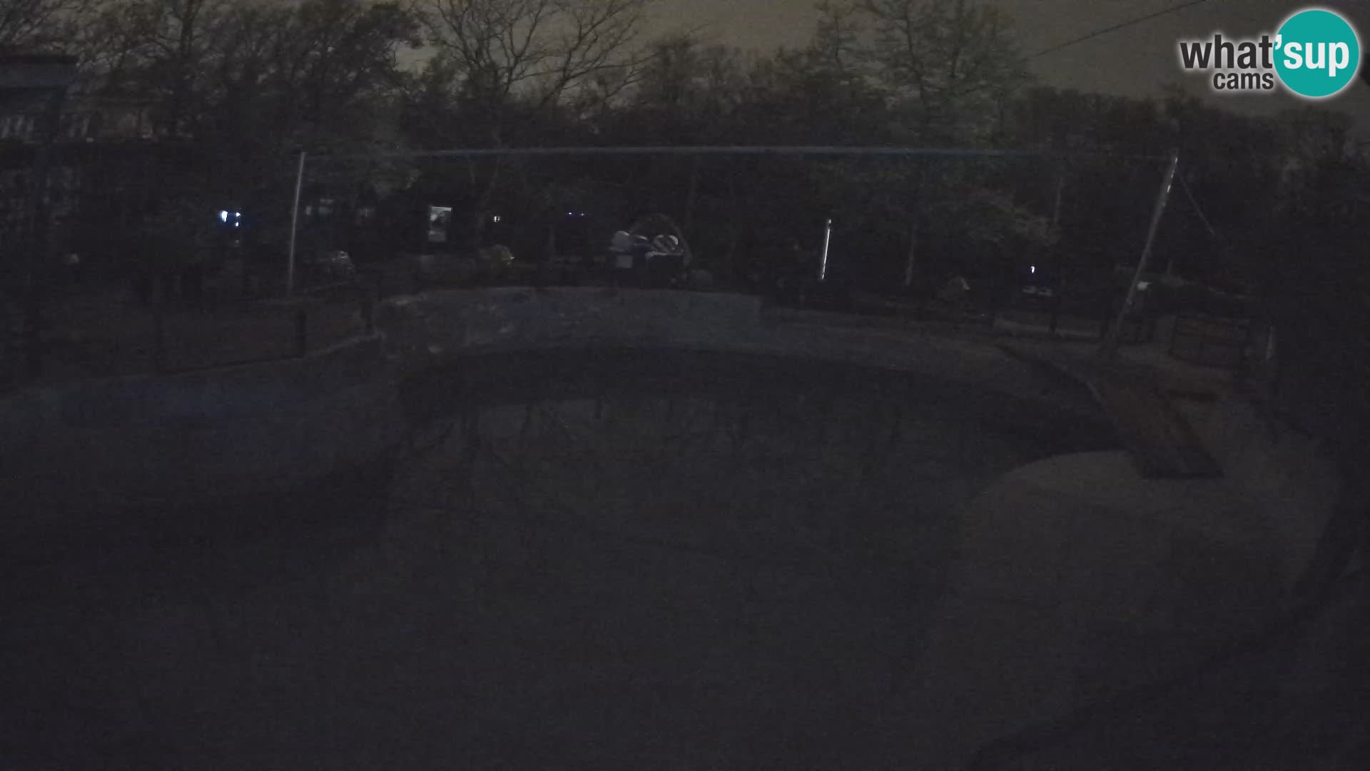 Zoo Zagreb – Kalifornijski morski lav