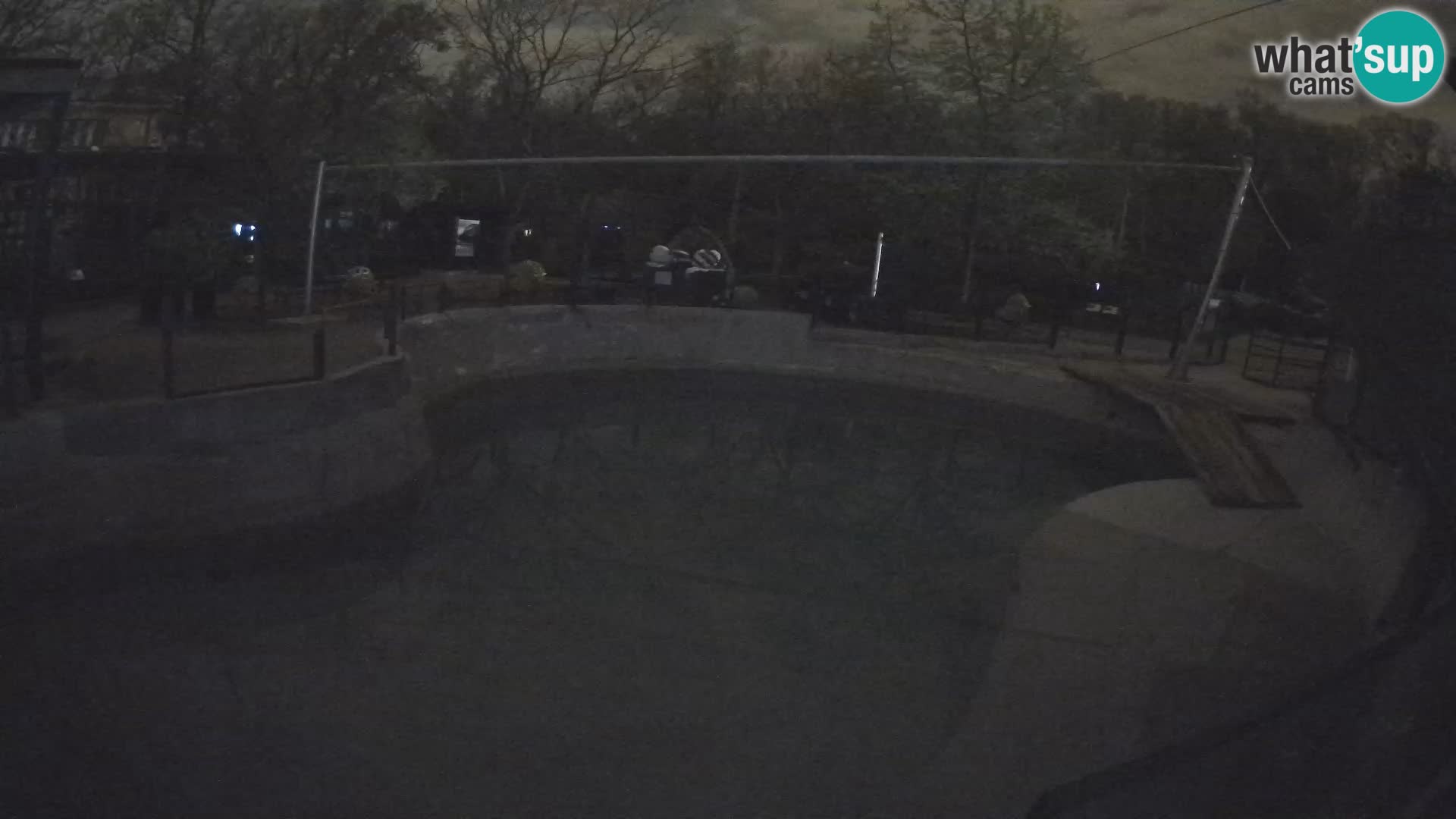 Zoo Zagreb –  León marino de California