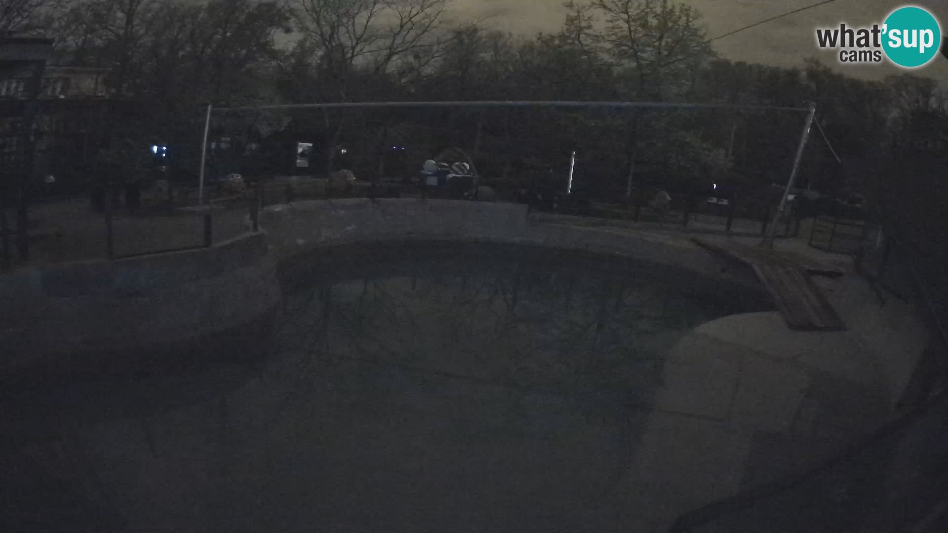 Zoo Zagreb –  León marino de California