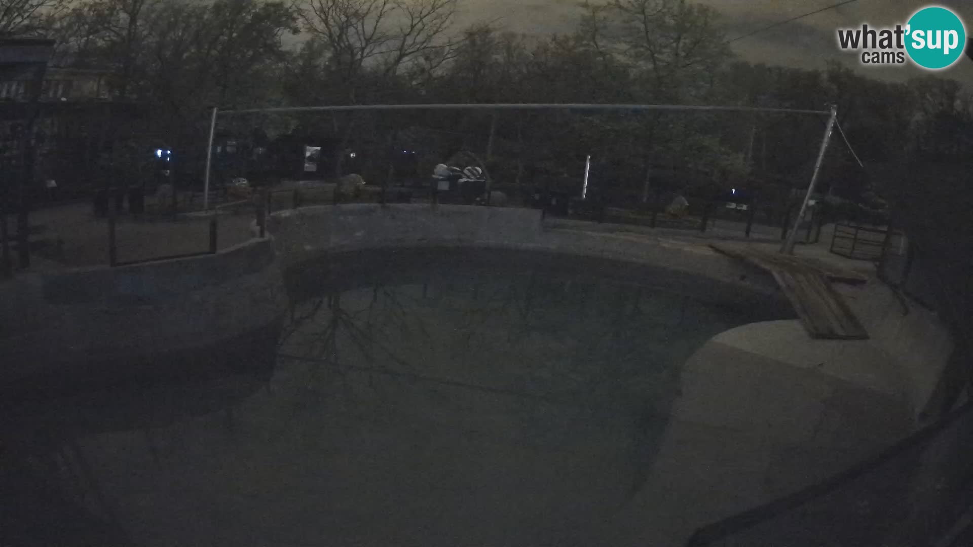 Zoo Zagreb – Kalifornijski morski lav