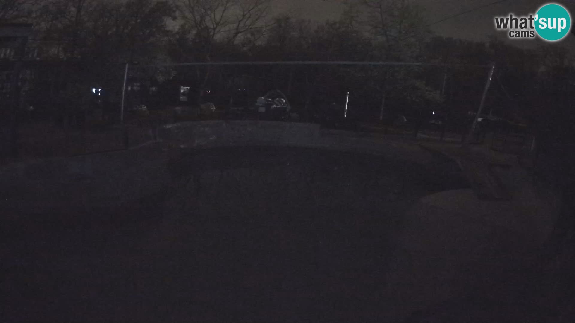 Zoo Zagreb – California Sea Lion