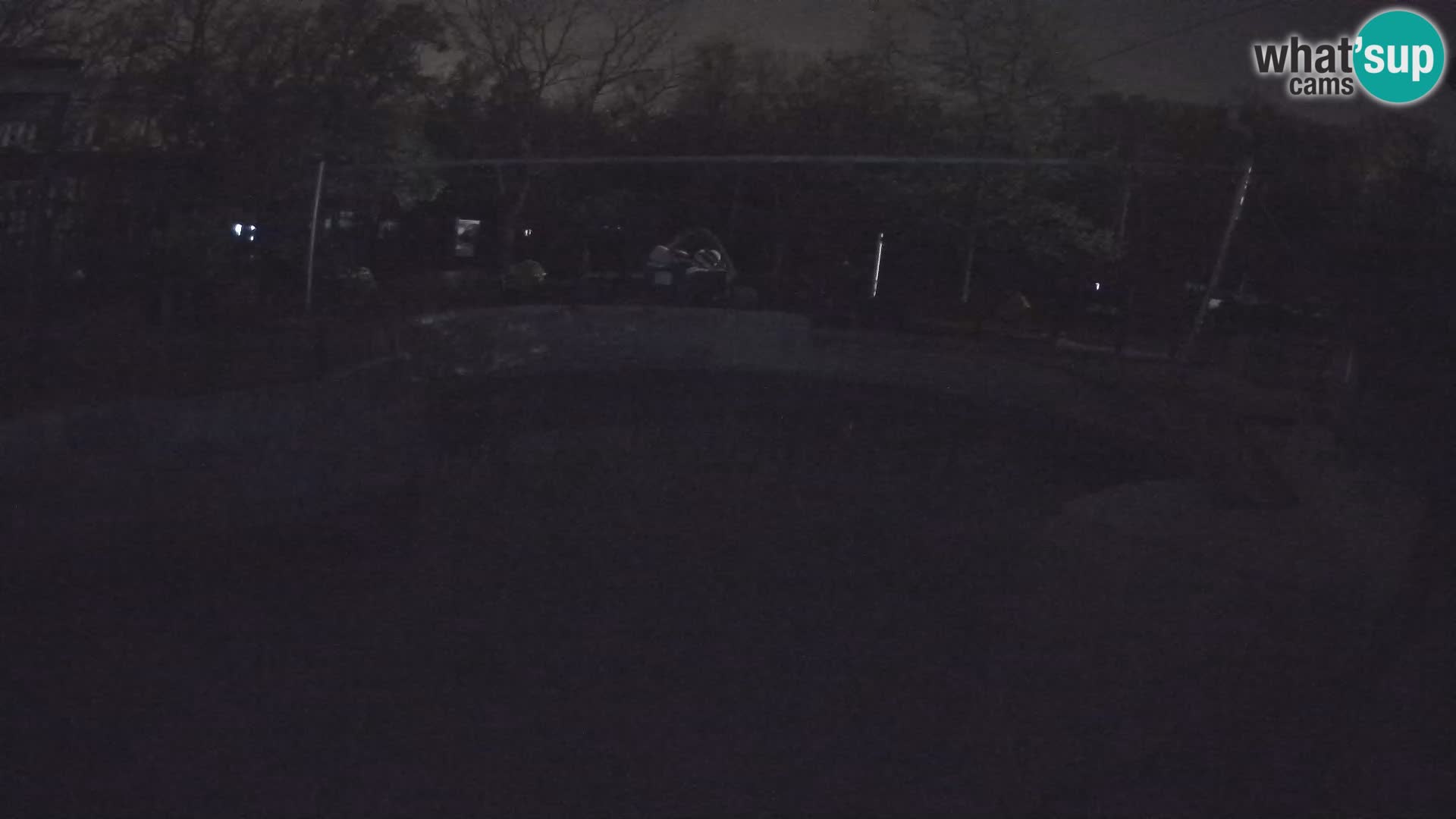 Zoo Zagreb – Kalifornijski morski lav