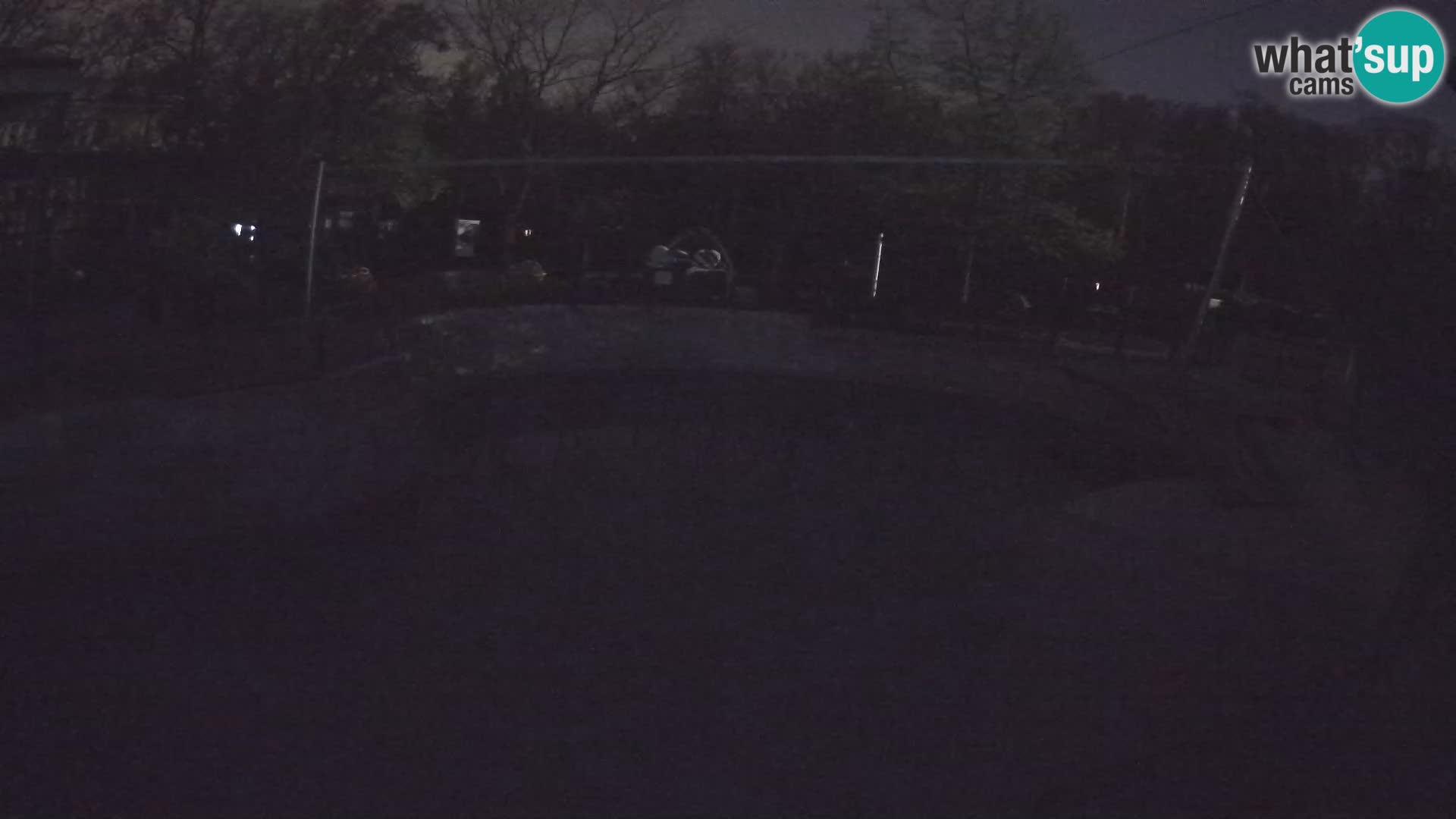 Zoo Zagreb – Otarie de Californie