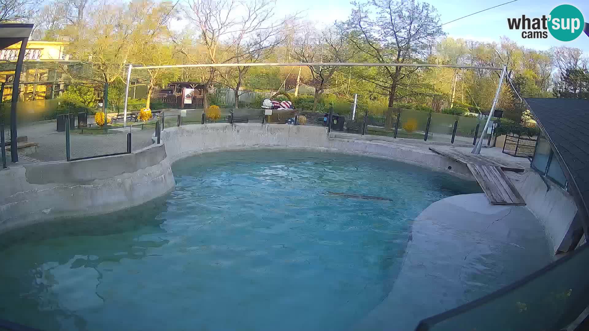 Zoo Zagreb – Otarie de Californie