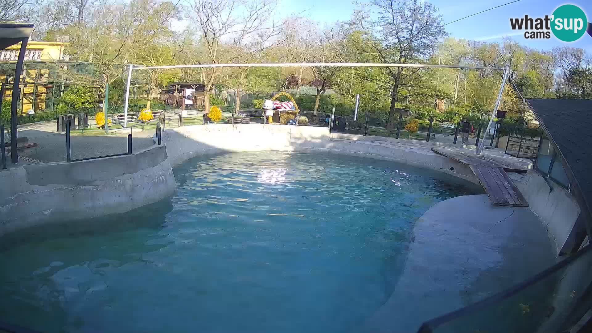 Zoo Zagreb – Kalifornijski morski lav