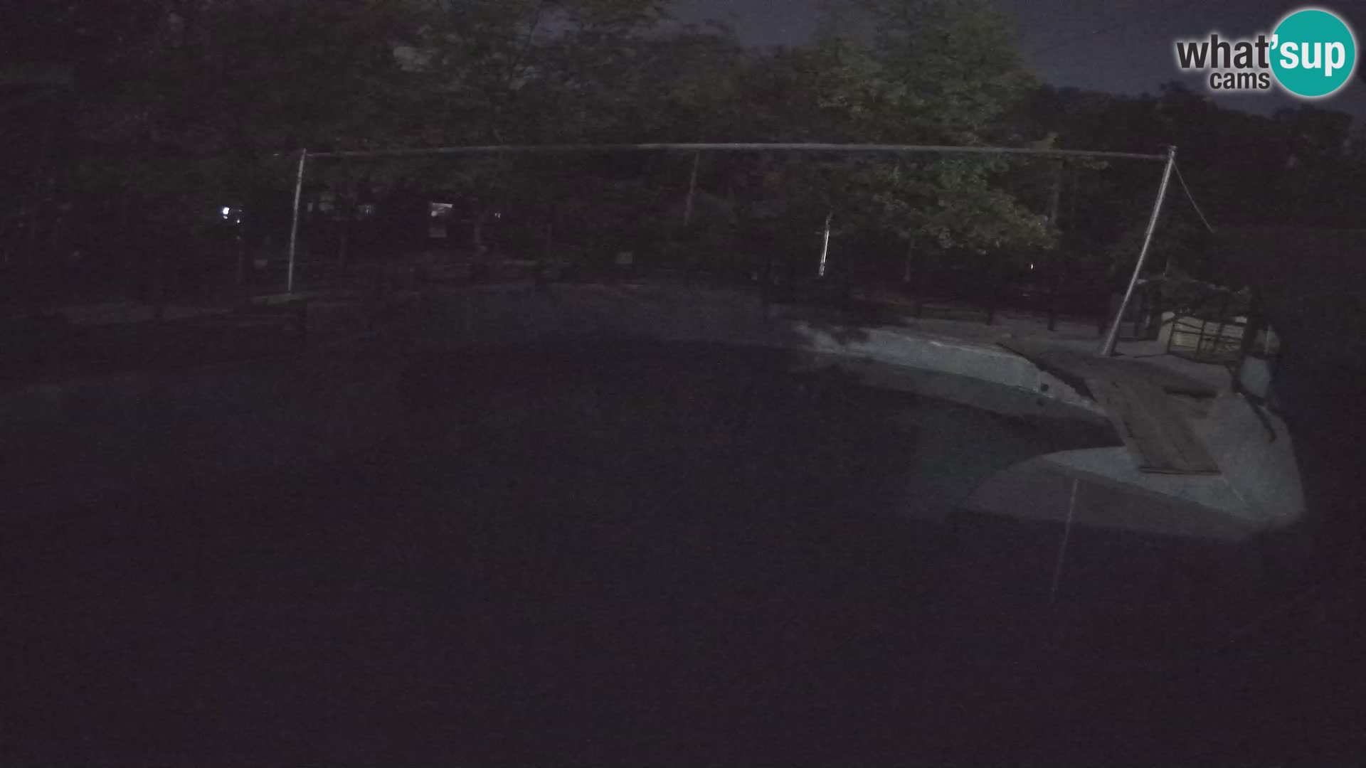 Zoo Zagreb – Otarie de Californie