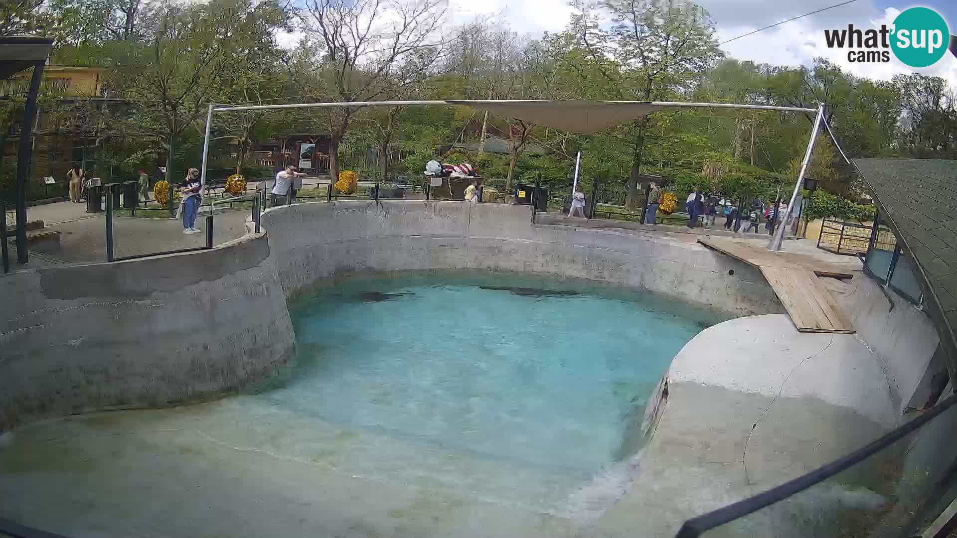 Zoo Zagreb – Otarie de Californie