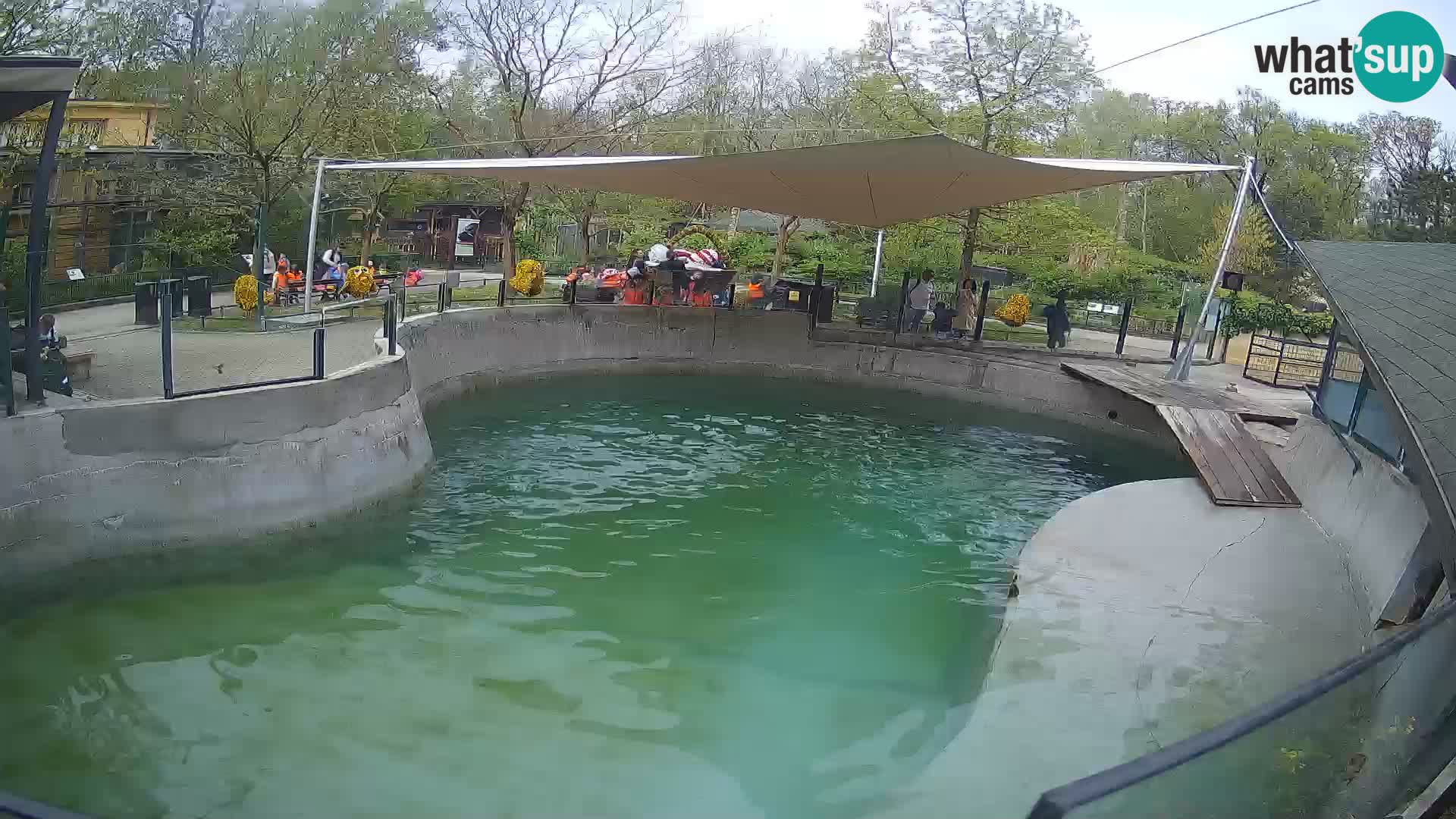 Zoo Zagreb – Otarie de Californie