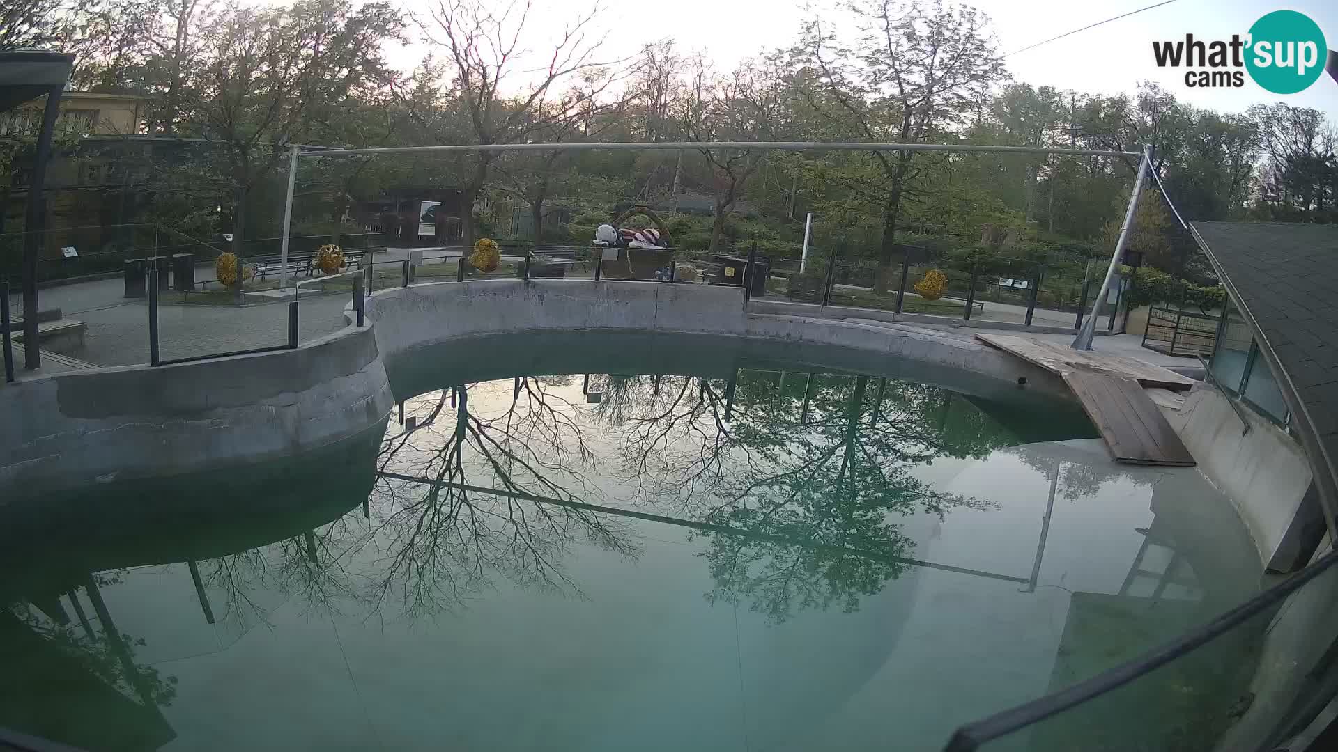 Zoo Zagreb – Kalifornijski morski lav