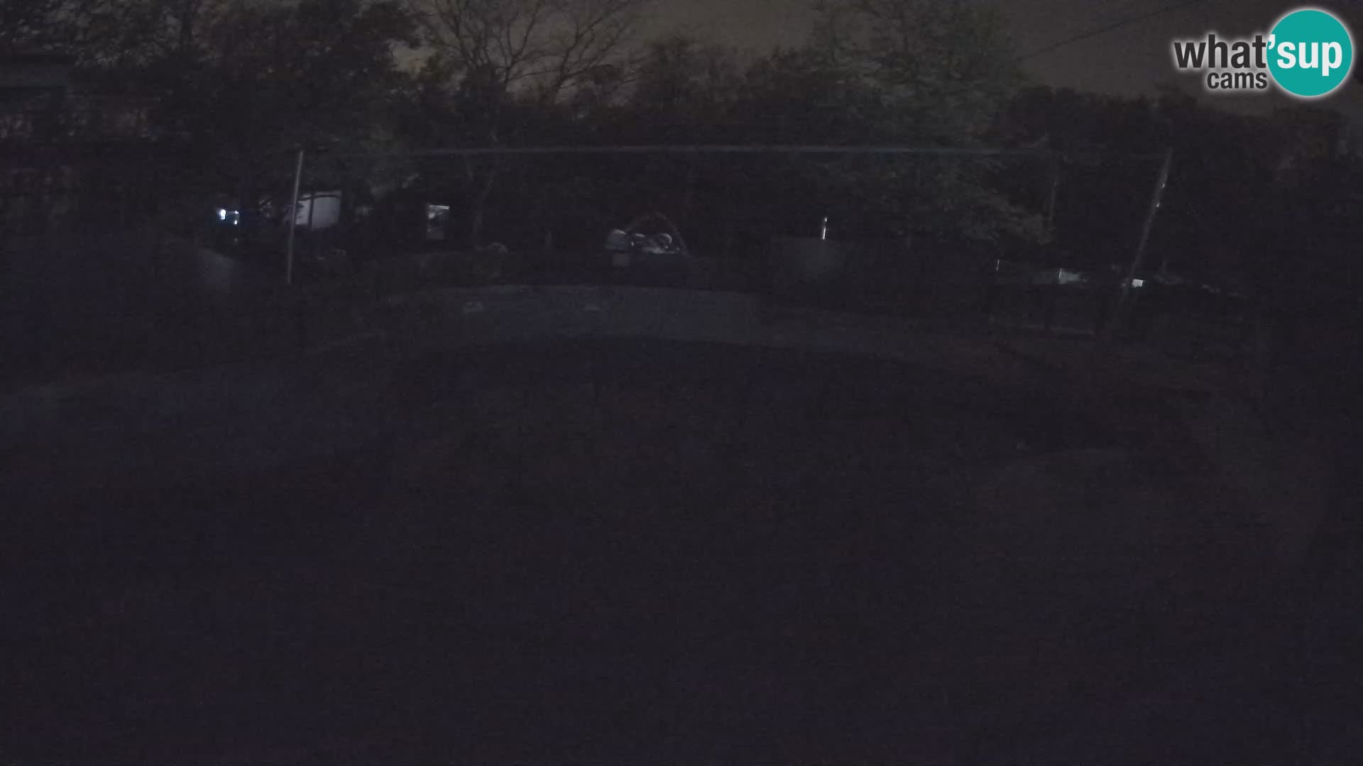 Zoo Zagreb – Kalifornijski morski lav