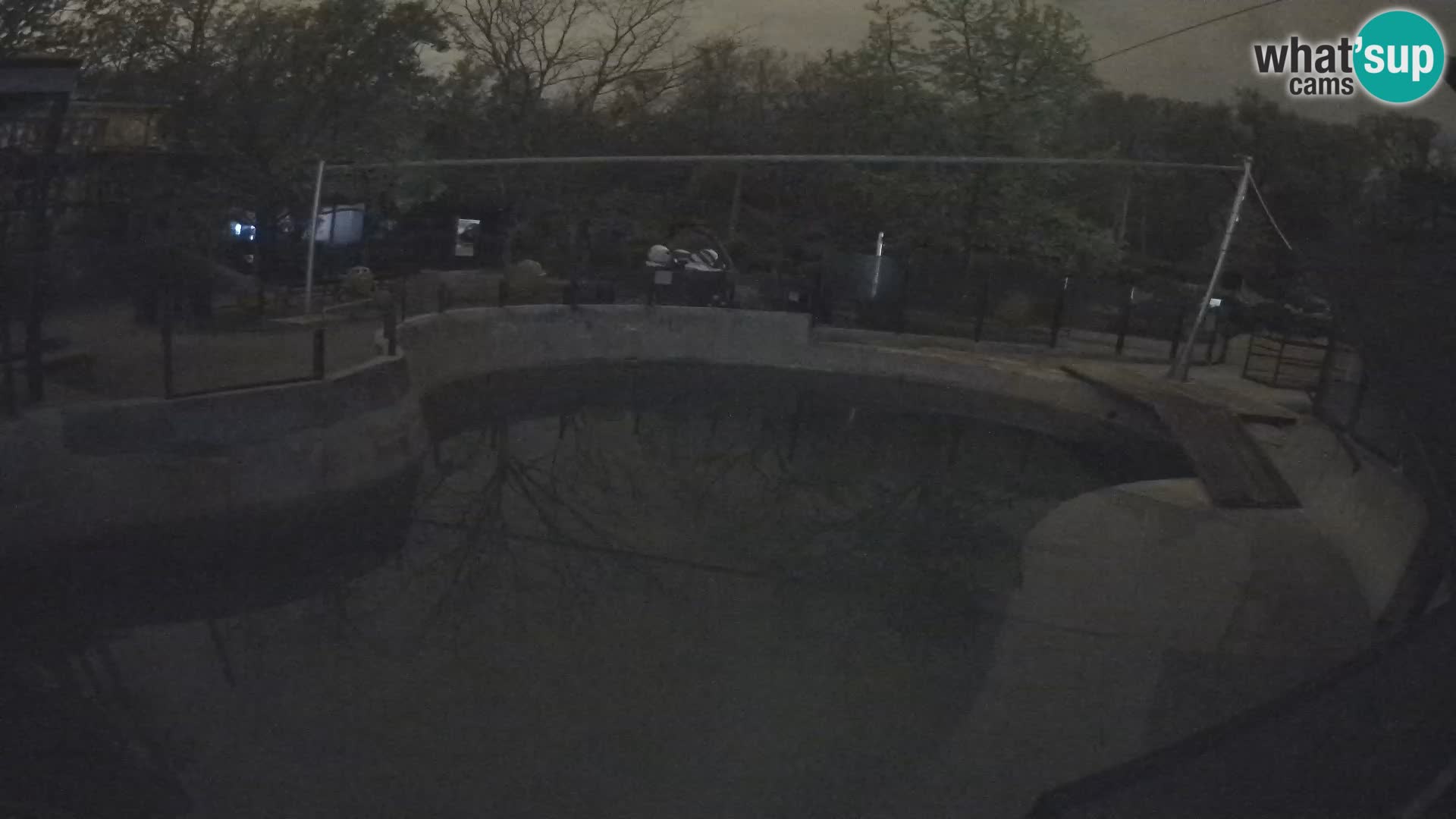 Zoo Zagreb –  León marino de California