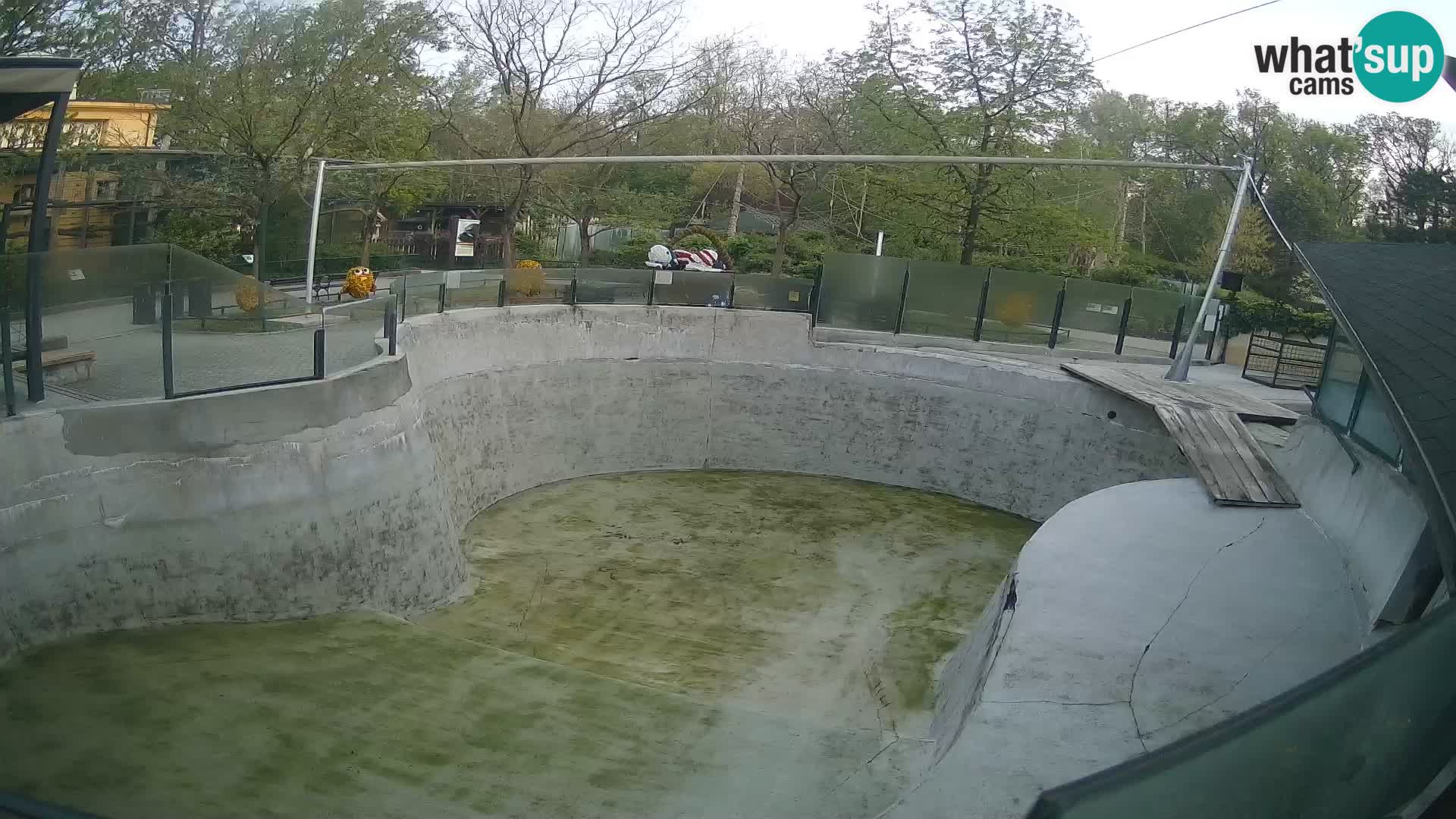 Zoo Zagreb – Kalifornijski morski lav