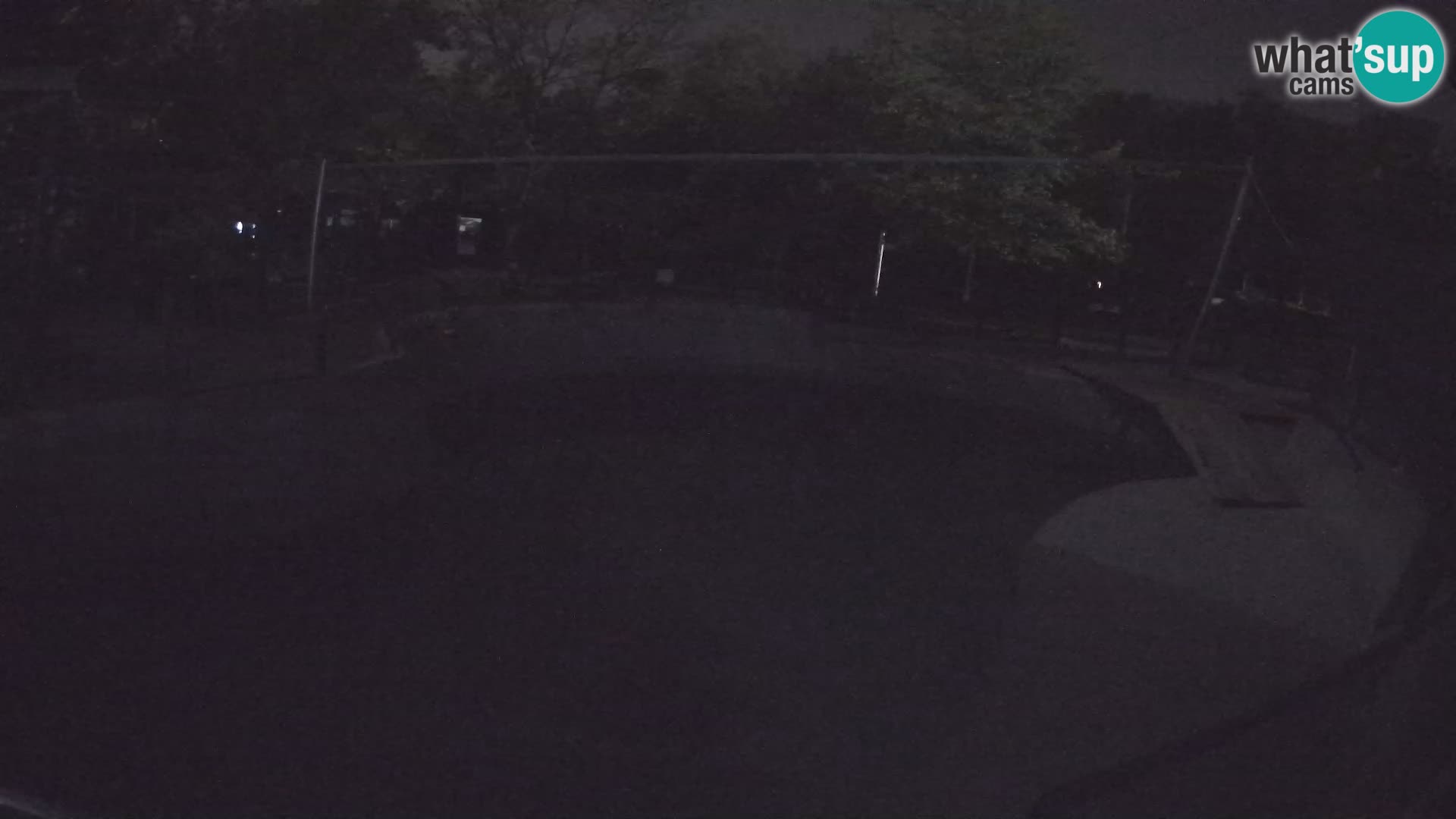 Zoo Zagreb – California Sea Lion