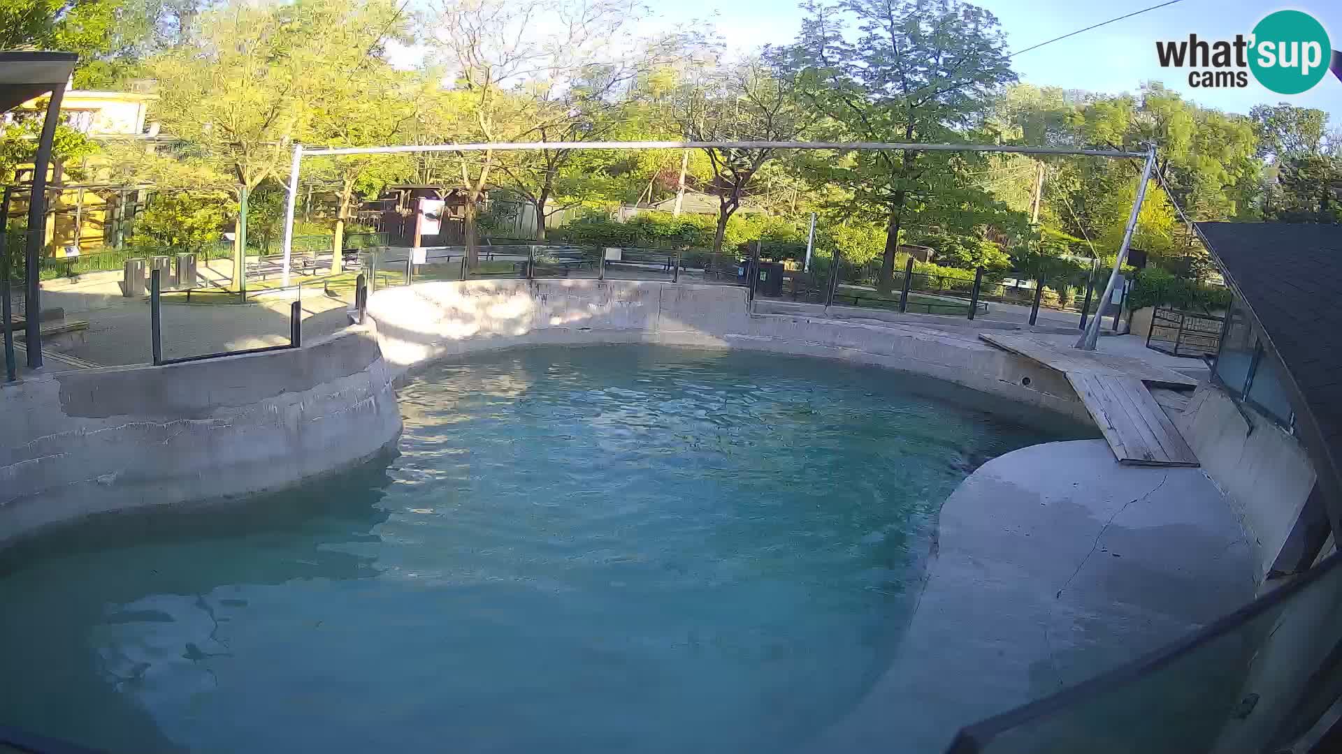 Zoo Zagreb – Kalifornischer Seelöwe