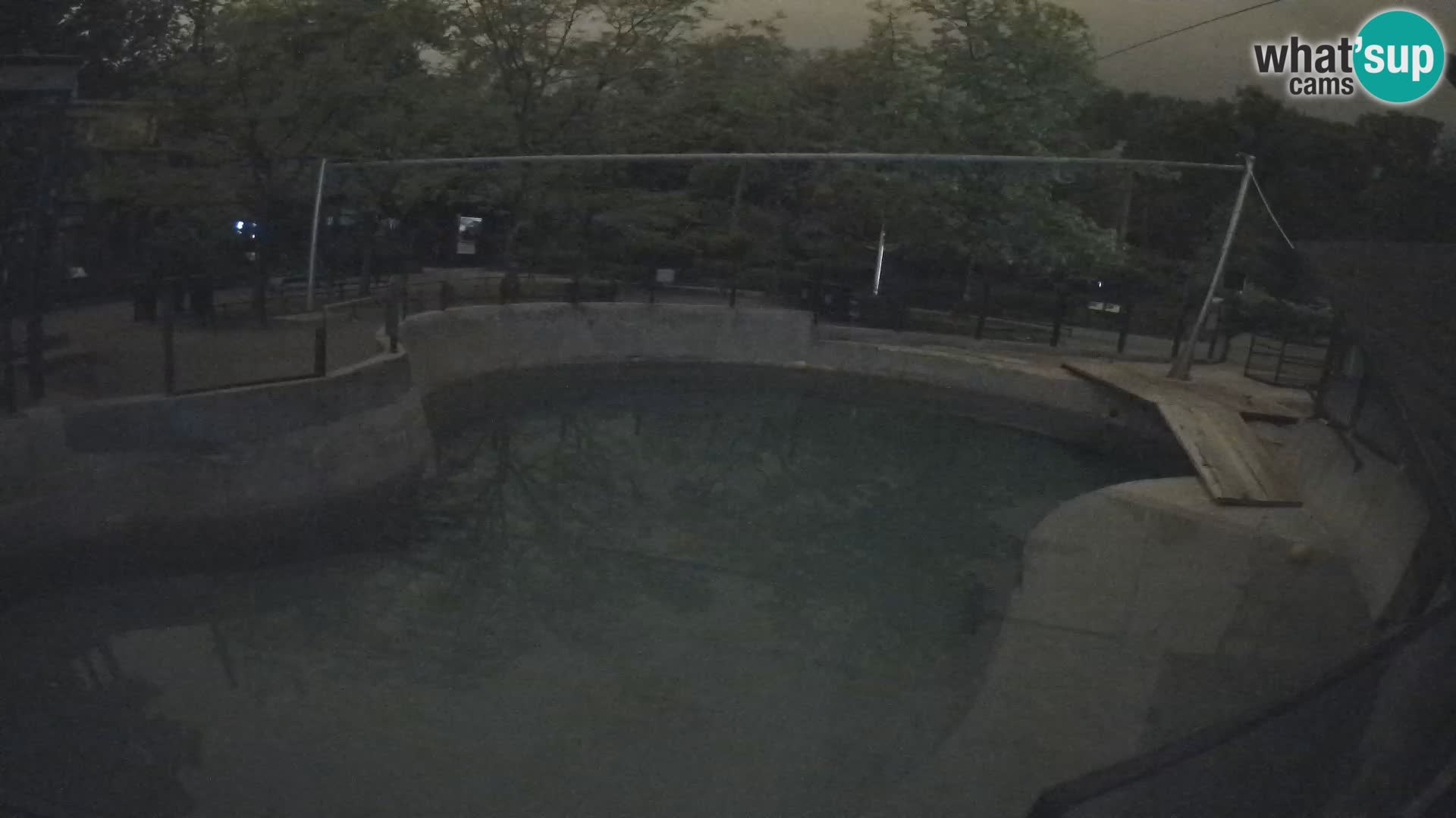 Zoo Zagreb – Otarie de Californie