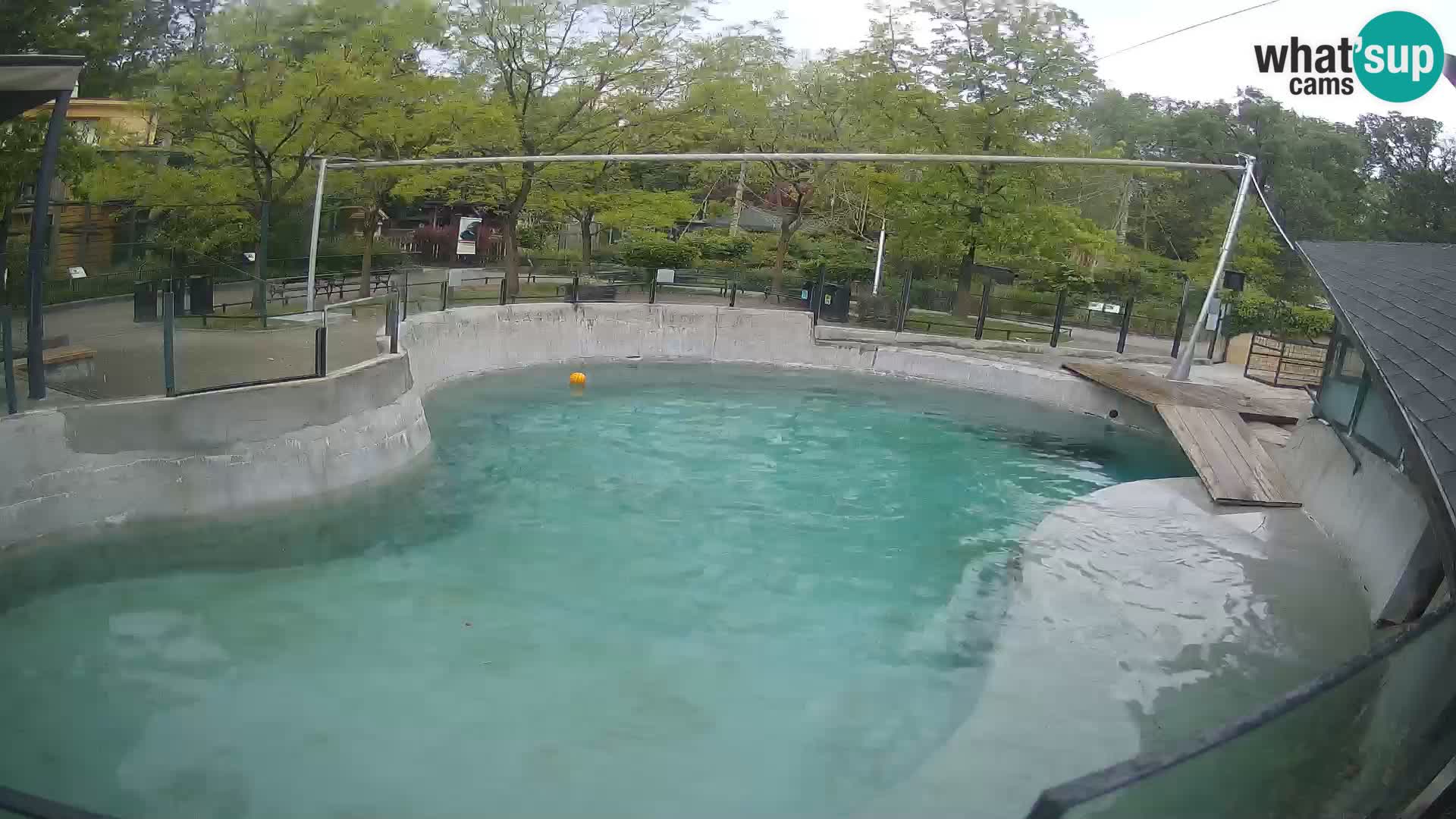 Zoo Zagreb – Otarie de Californie