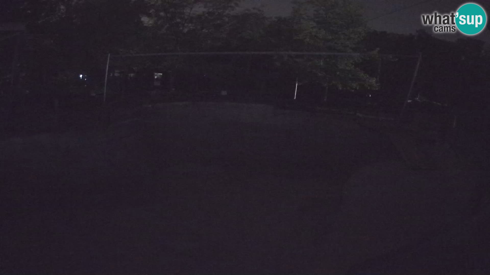 Zoo Zagreb – Kalifornijski morski lav