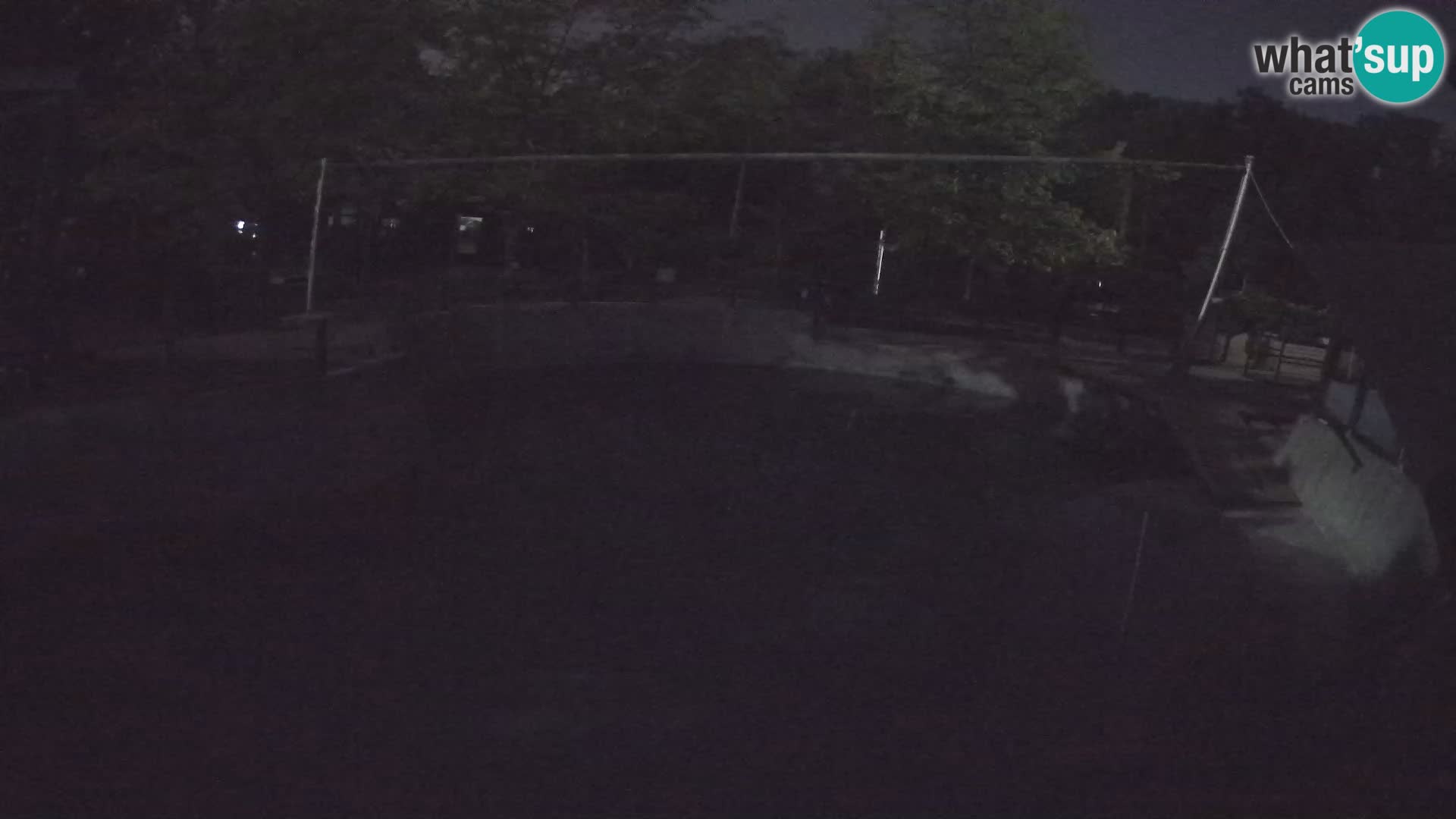 Zoo Zagreb – Otarie de Californie