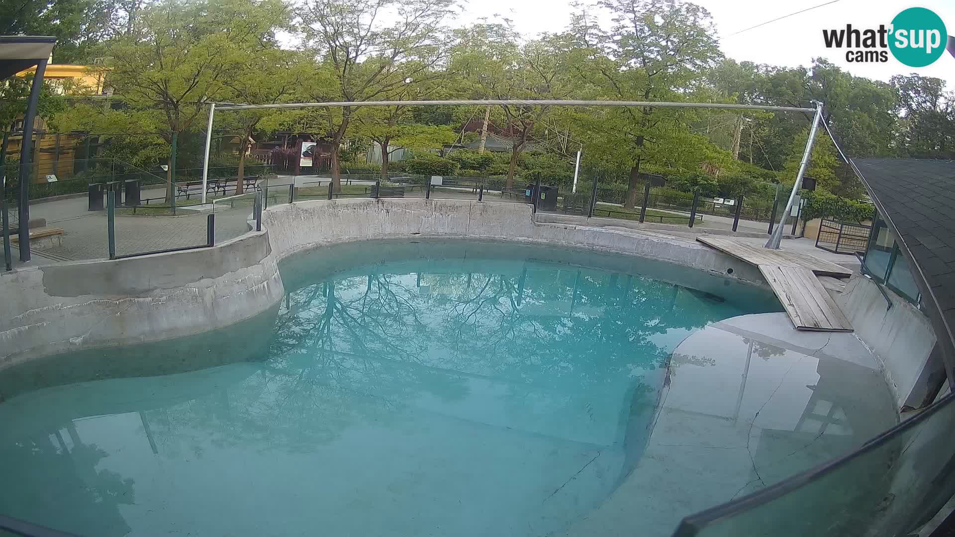 Zoo Zagreb –  León marino de California
