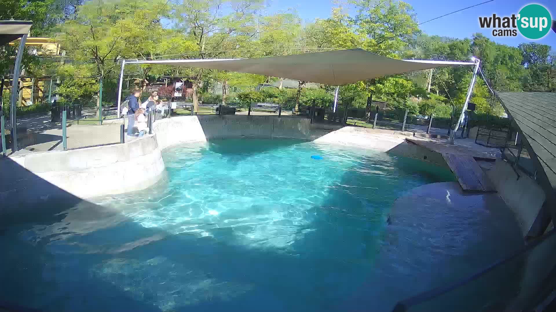 Zoo Zagreb – Otarie de Californie