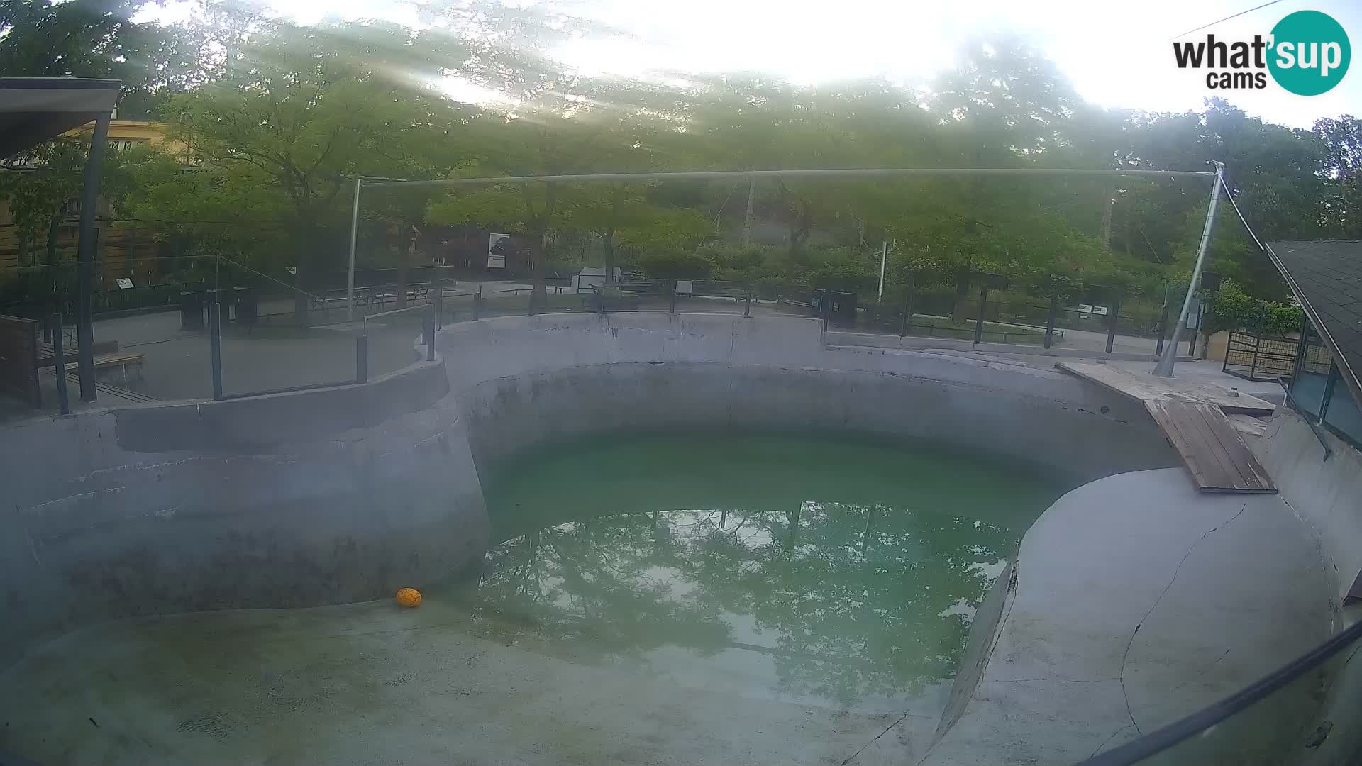 Zoo Zagreb – Kalifornijski morski lav