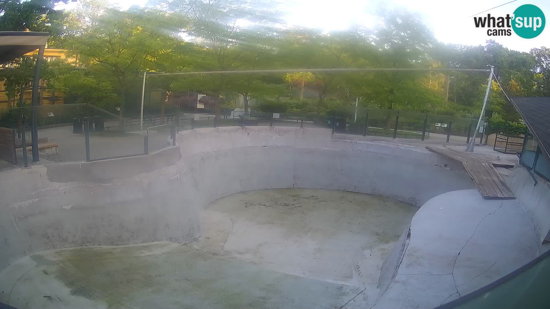 Zoo Zagreb – Kalifornijski morski lav