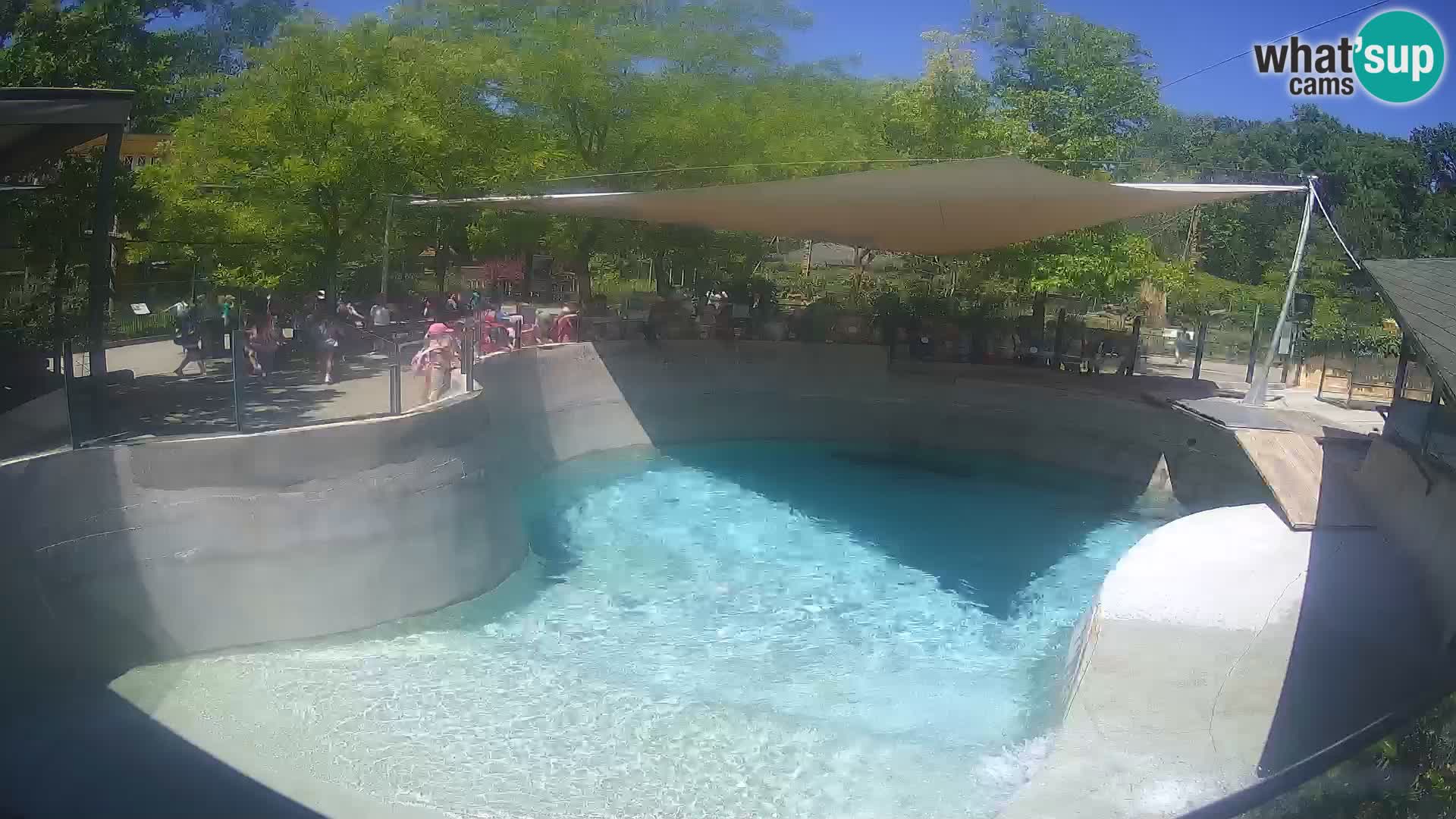 Zoo Zagreb – California Sea Lion