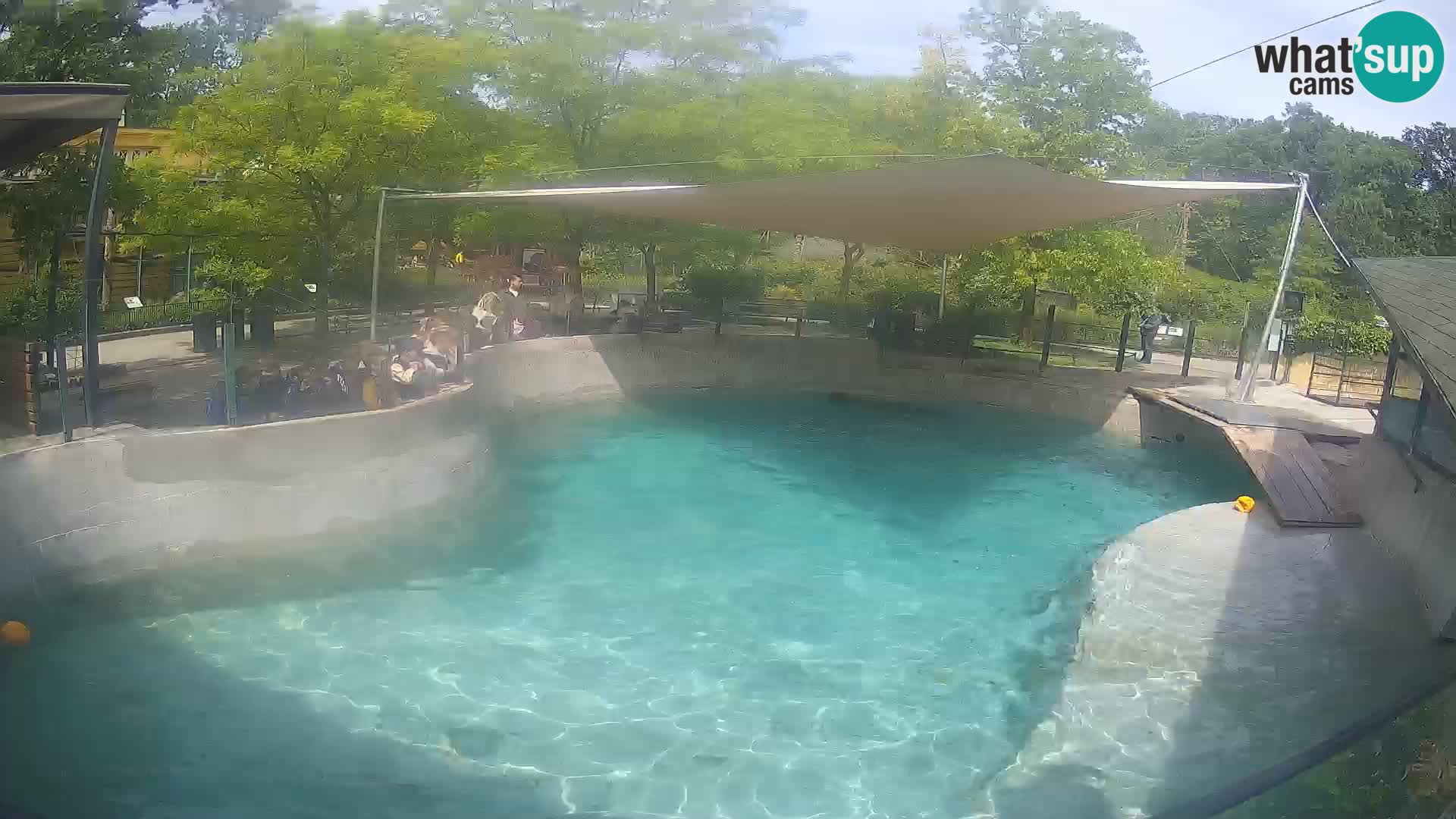 Zoo Zagreb – Kalifornijski morski lev