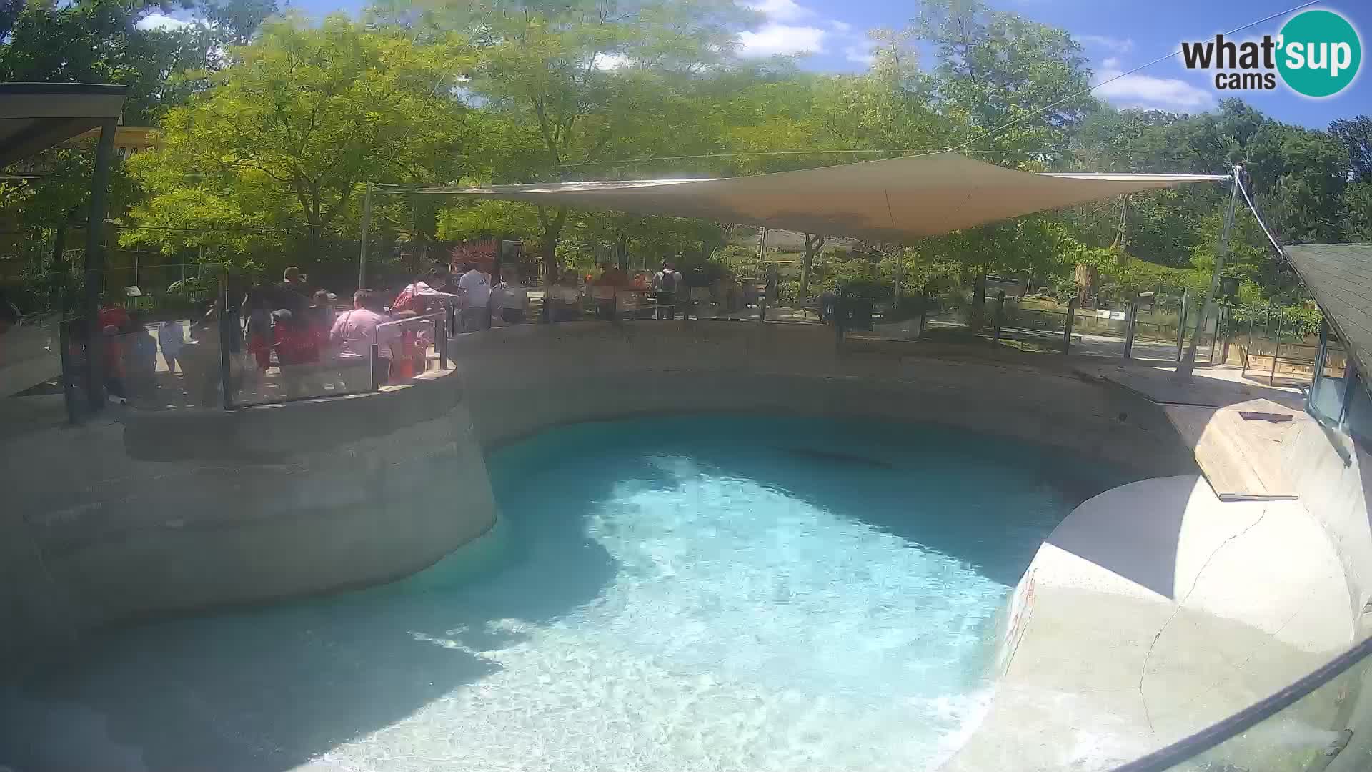 Zoo Zagreb – Kalifornijski morski lav