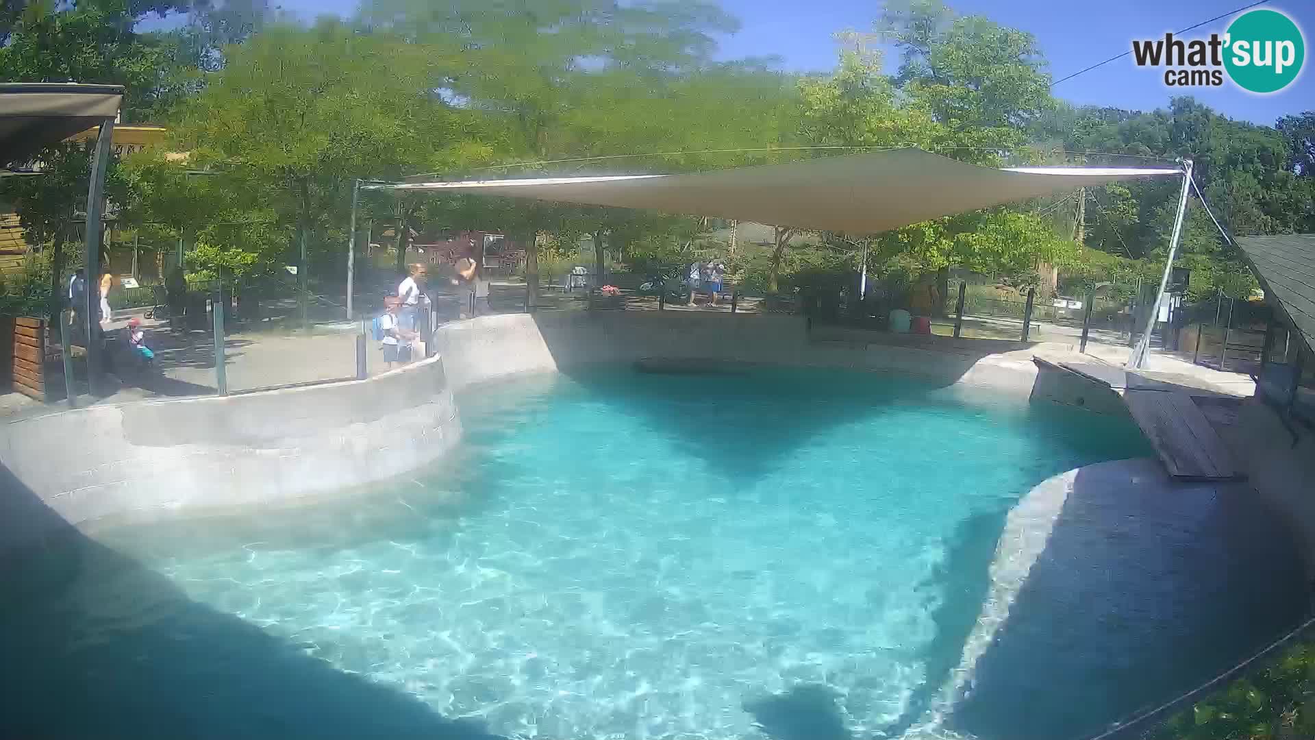 Zoo Zagreb – Kalifornijski morski lav