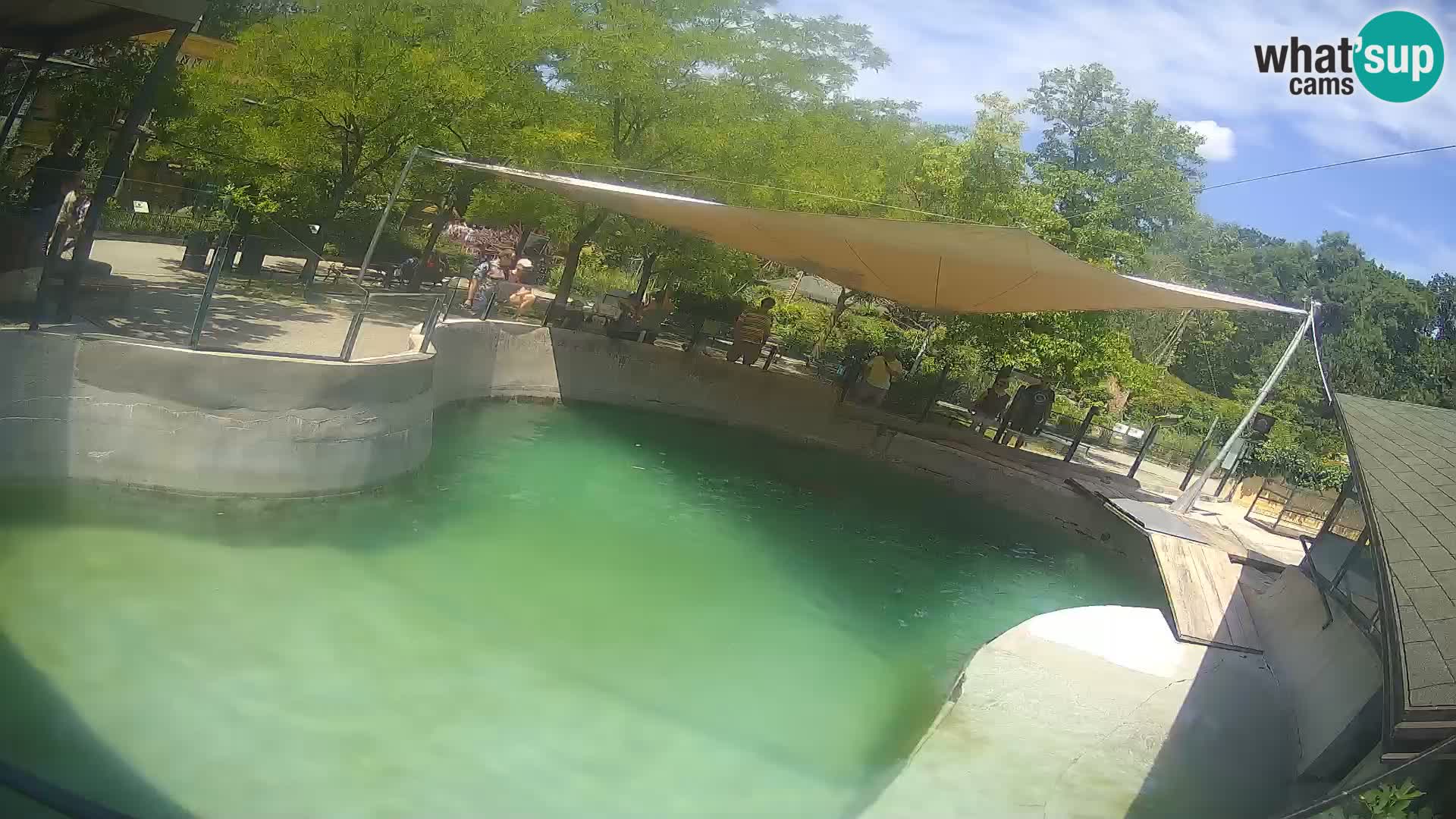 Zoo Zagreb – Kalifornijski morski lav