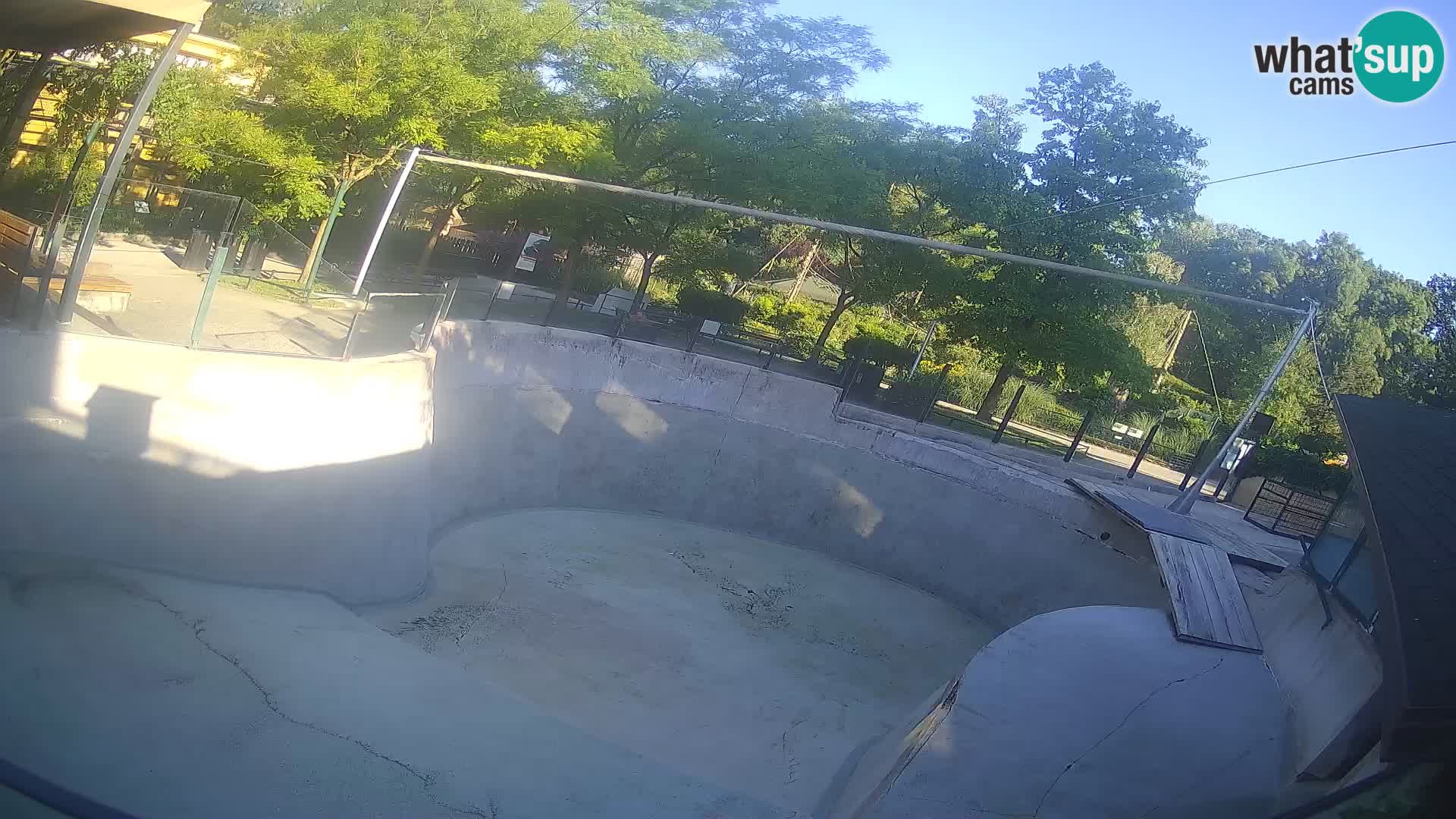 Zoo Zagreb – Kalifornijski morski lav