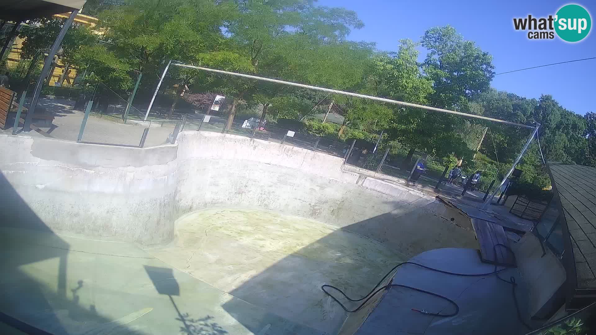 Zoo Zagreb – Kalifornijski morski lav