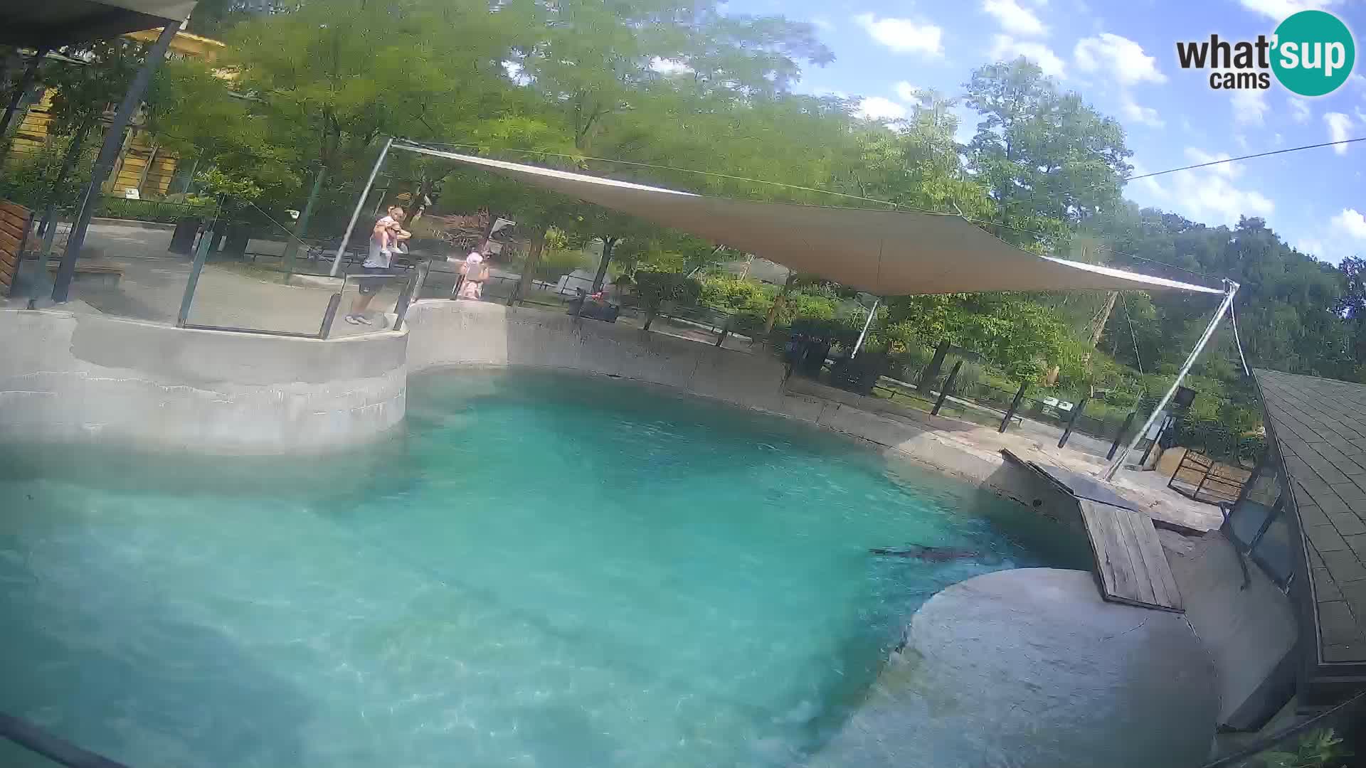 Zoo Zagreb –  León marino de California