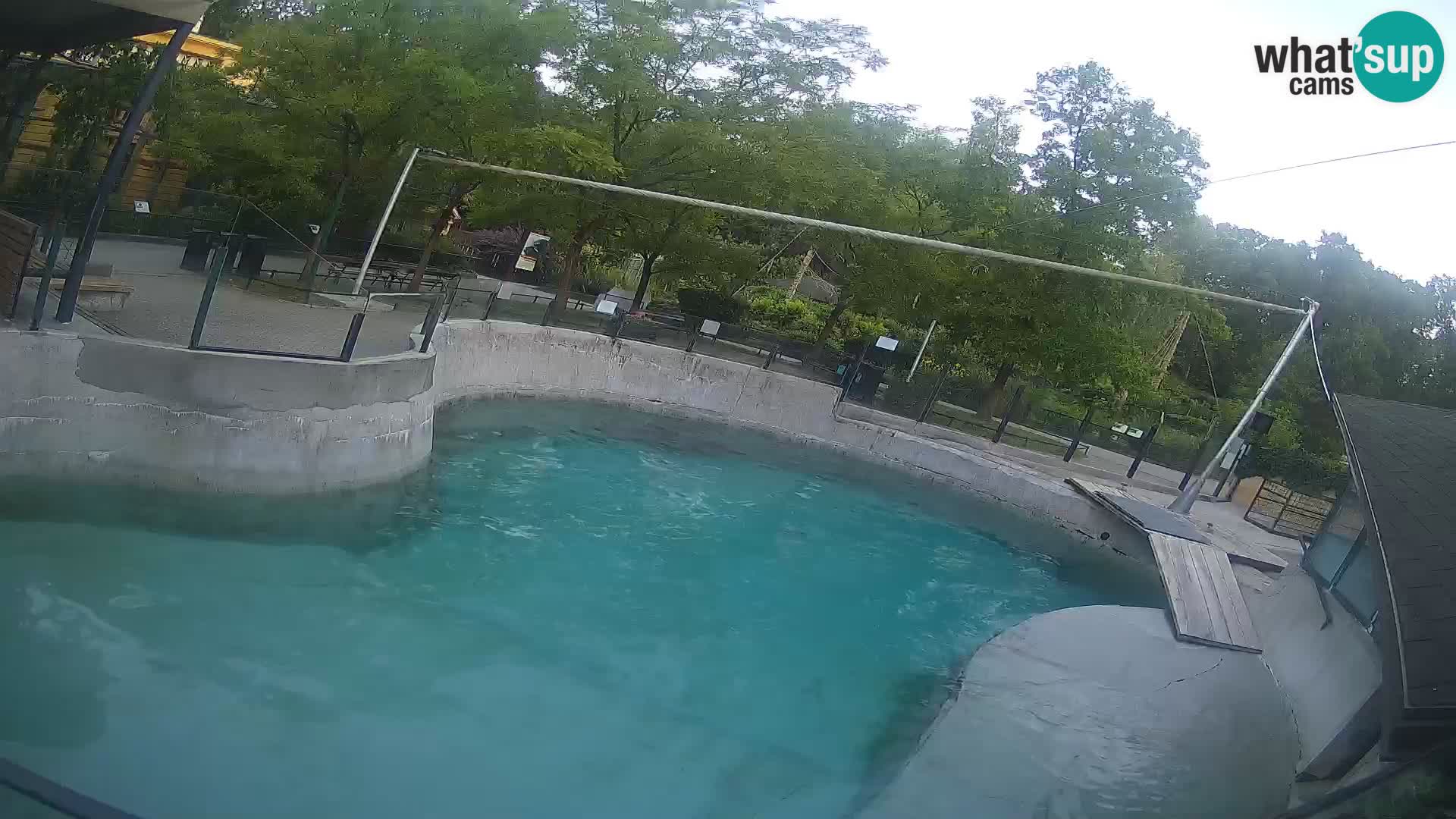 Zoo Zagreb – Kalifornijski morski lav