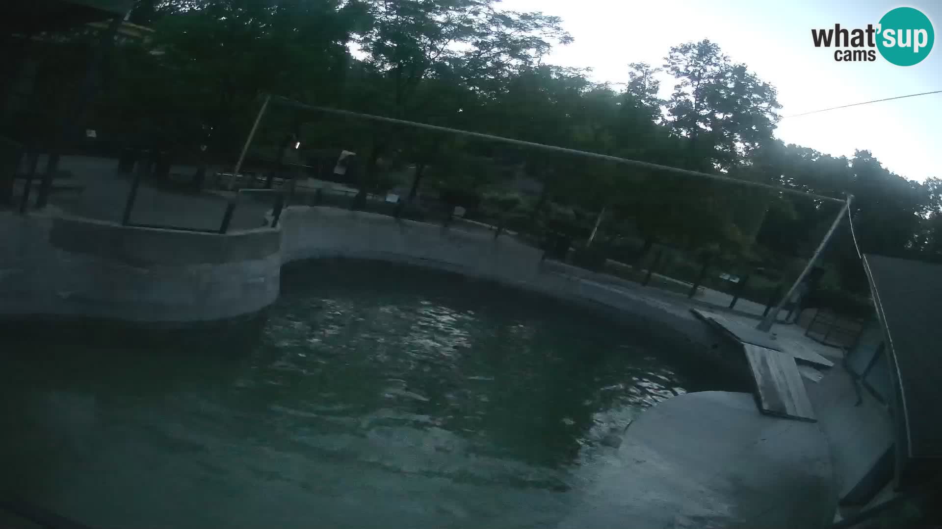 Zoo Zagreb – Kalifornijski morski lav