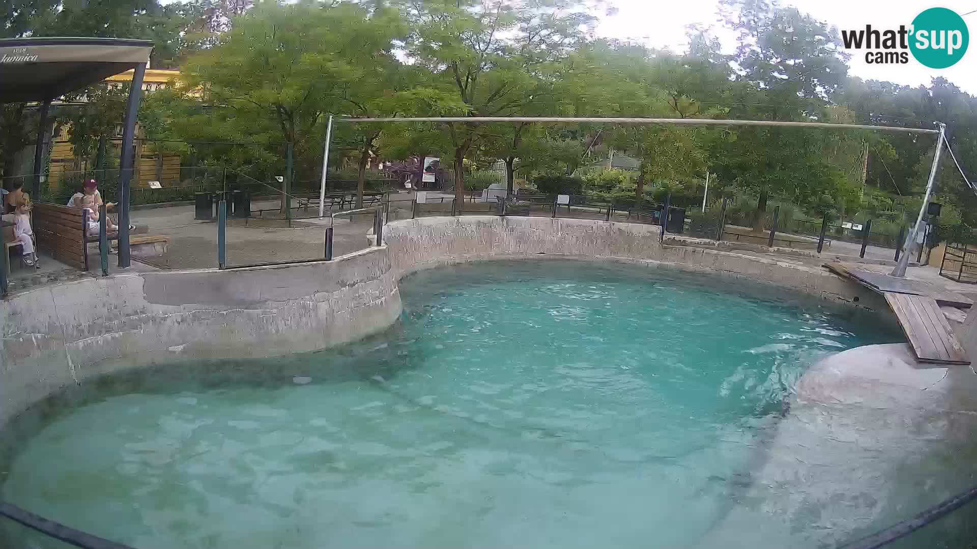 Zoo Zagreb – Kalifornijski morski lav