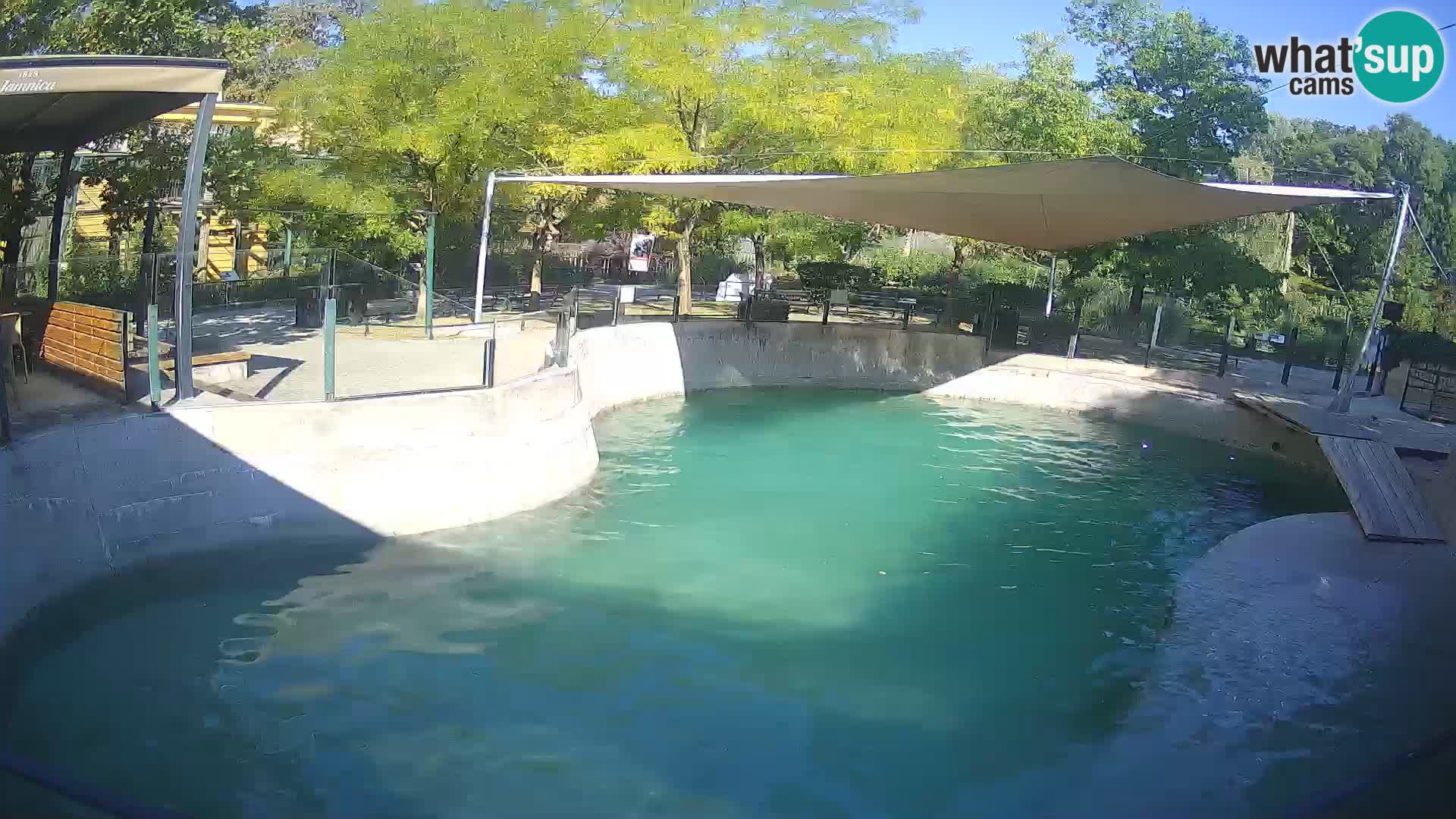 Zoo Zagreb – Kalifornischer Seelöwe