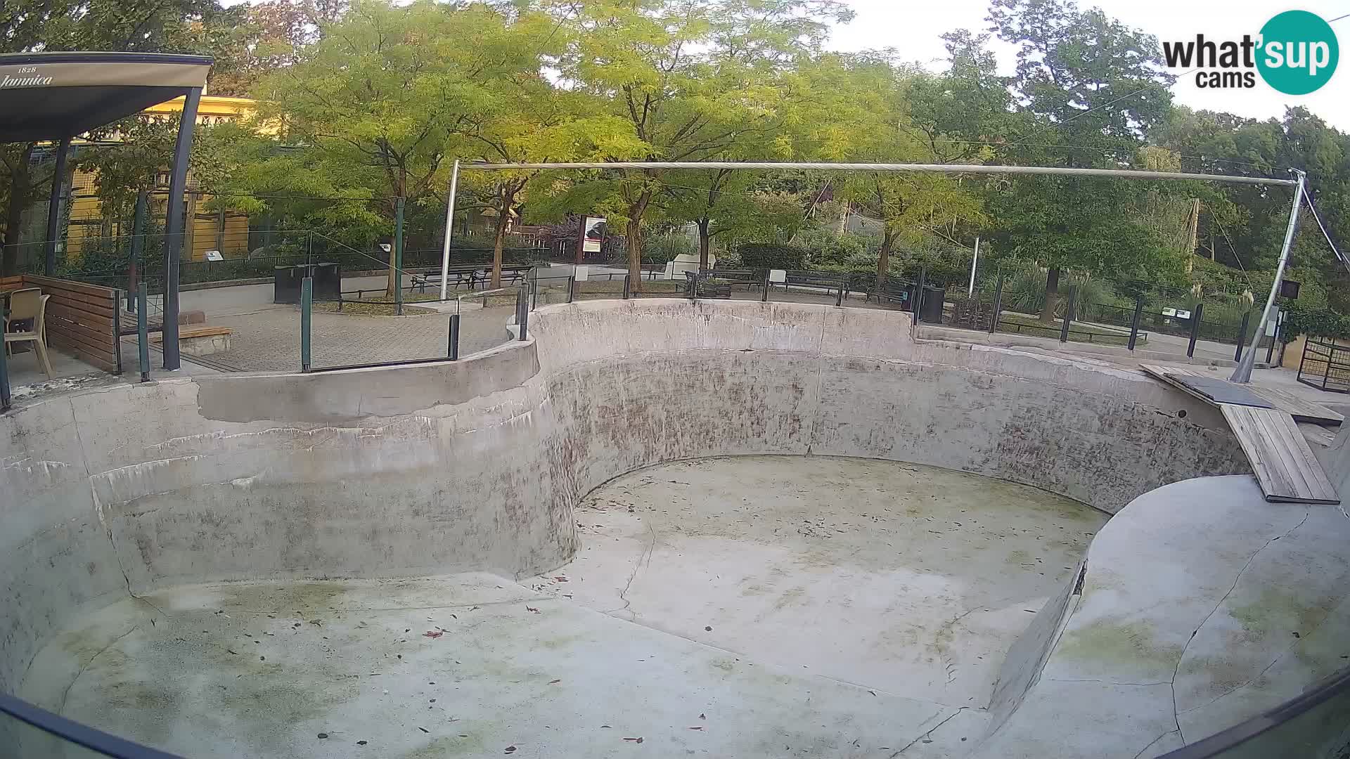 Zoo Zagreb – Kalifornijski morski lev
