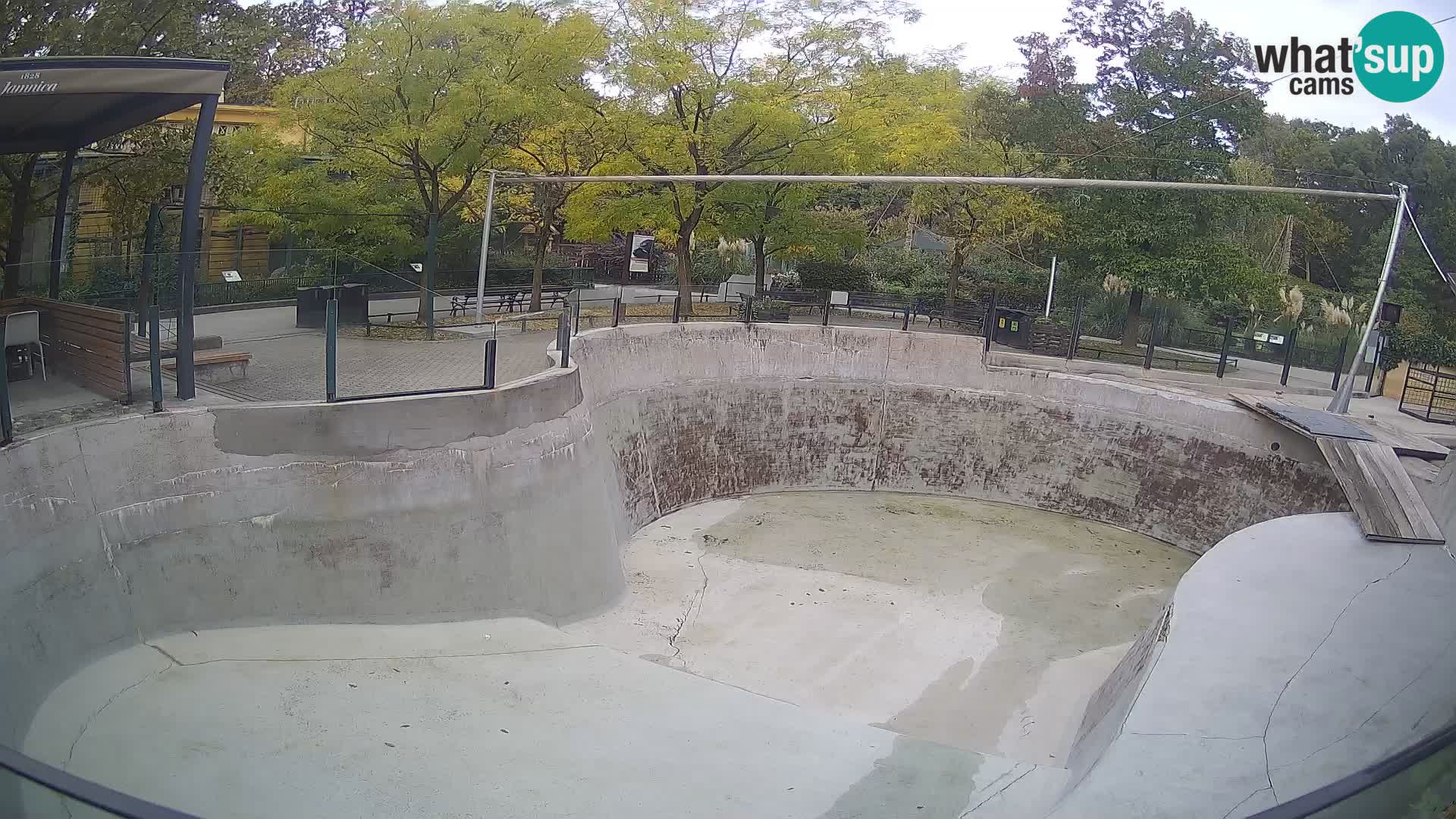 Zoo Zagreb – Kalifornijski morski lav