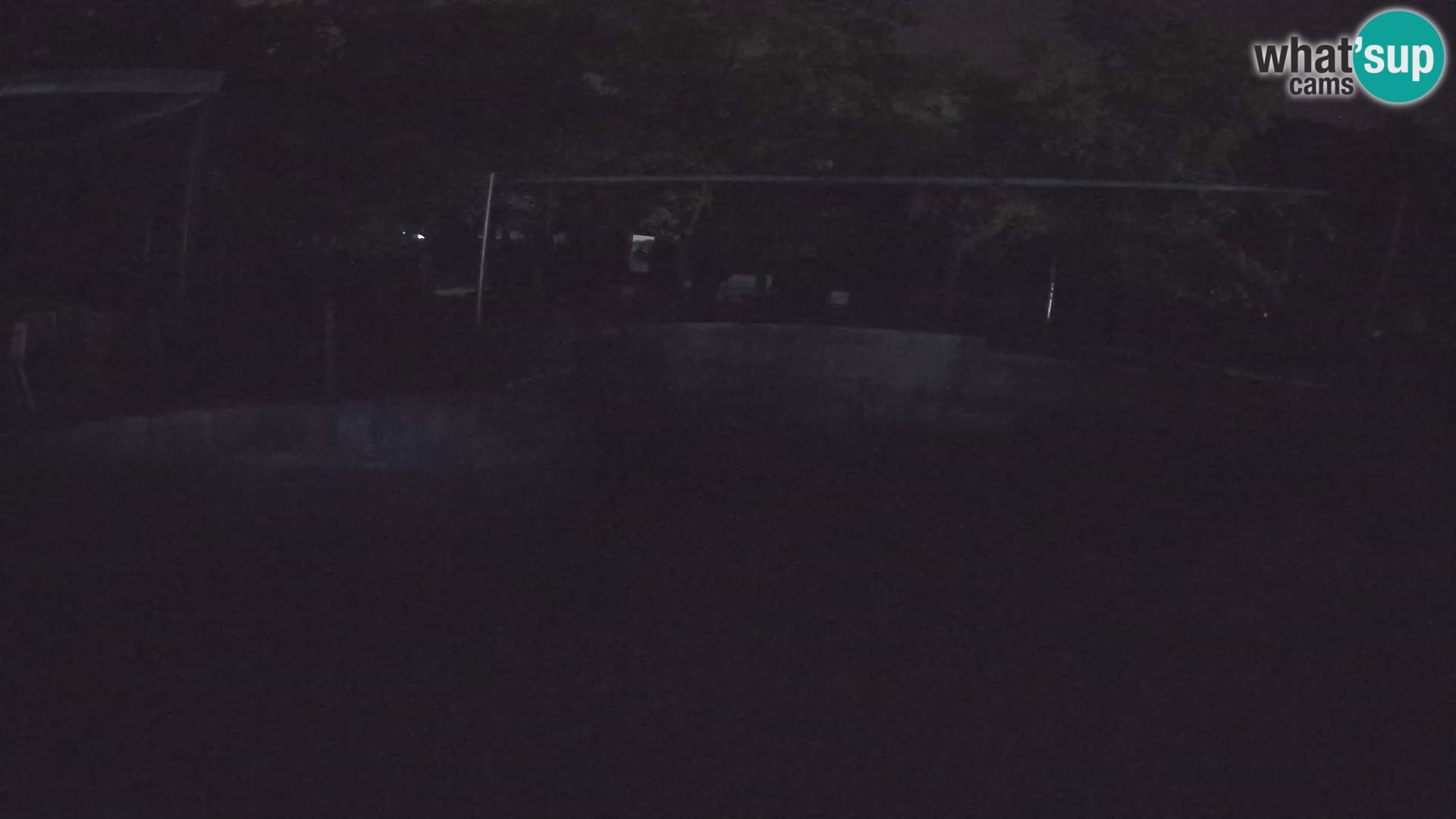 Zoo Zagreb – Kalifornijski morski lav