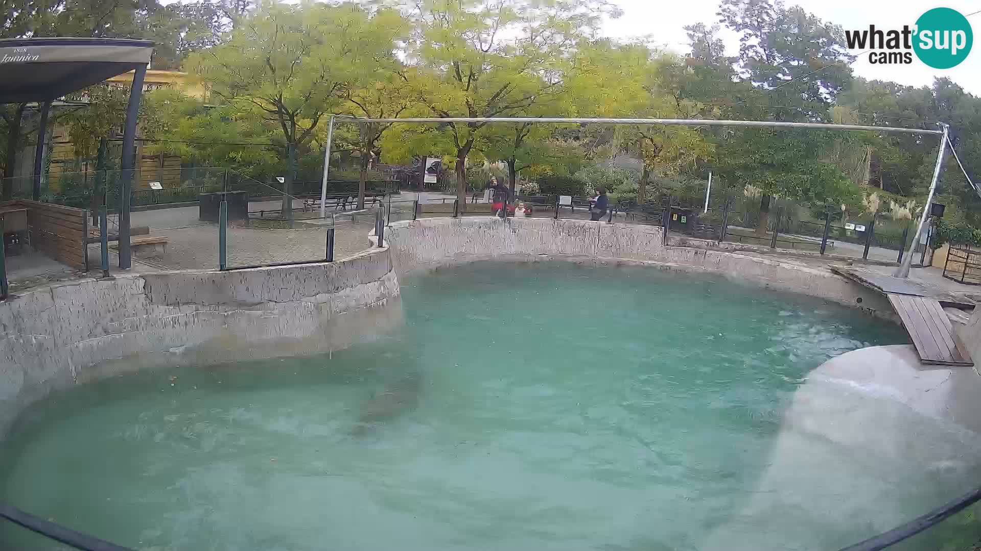 Zoo Zagreb – Otarie de Californie