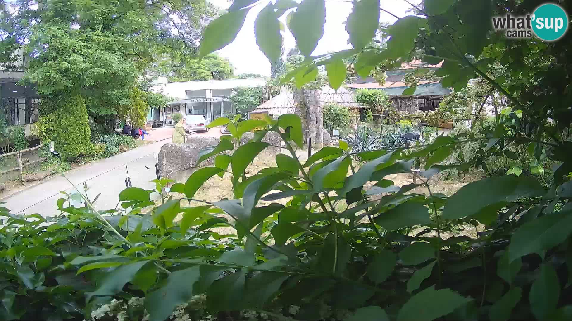 Zoo Zagreb – Erdmännchen