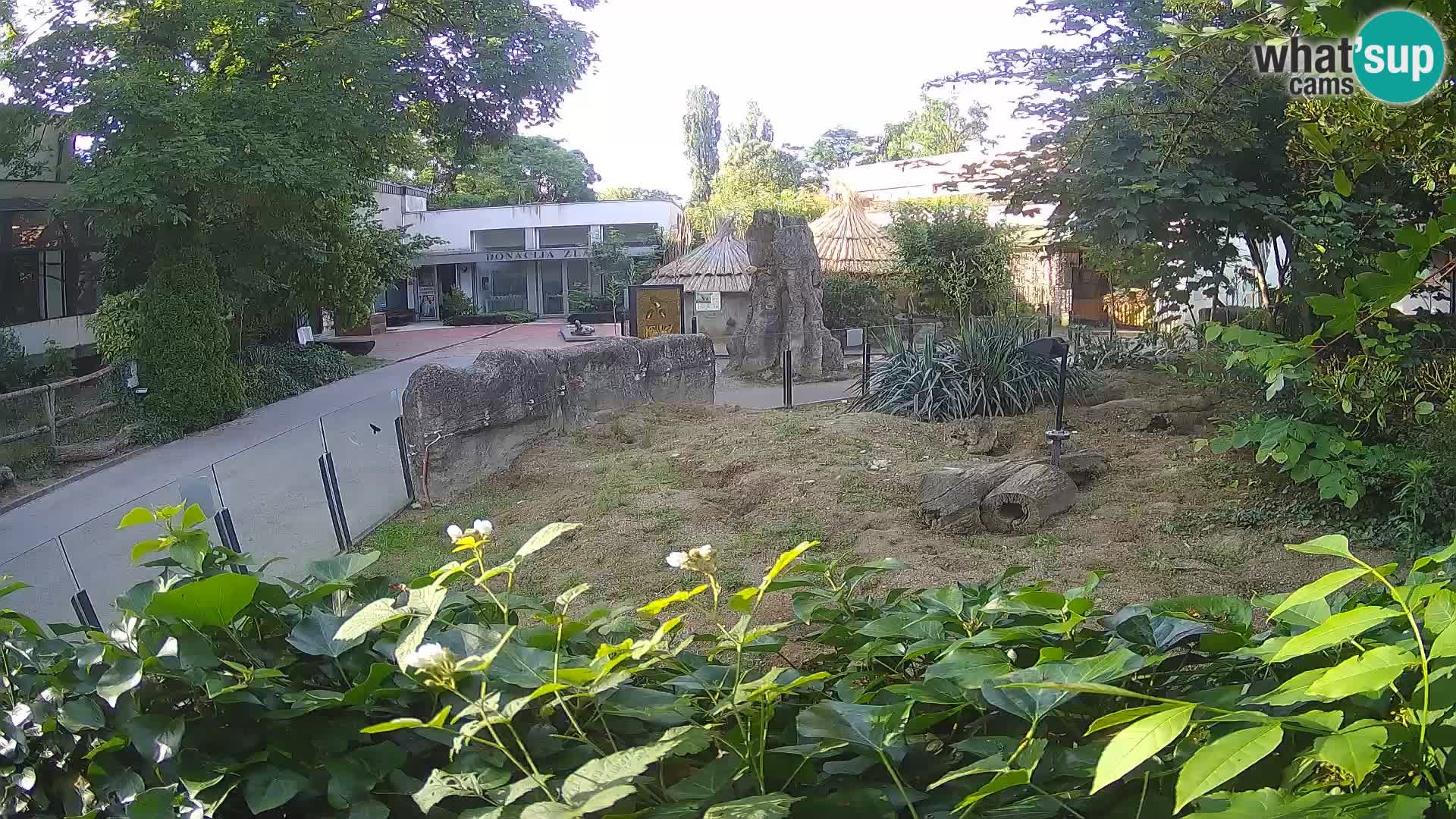 Zoo Zagreb – Erdmännchen